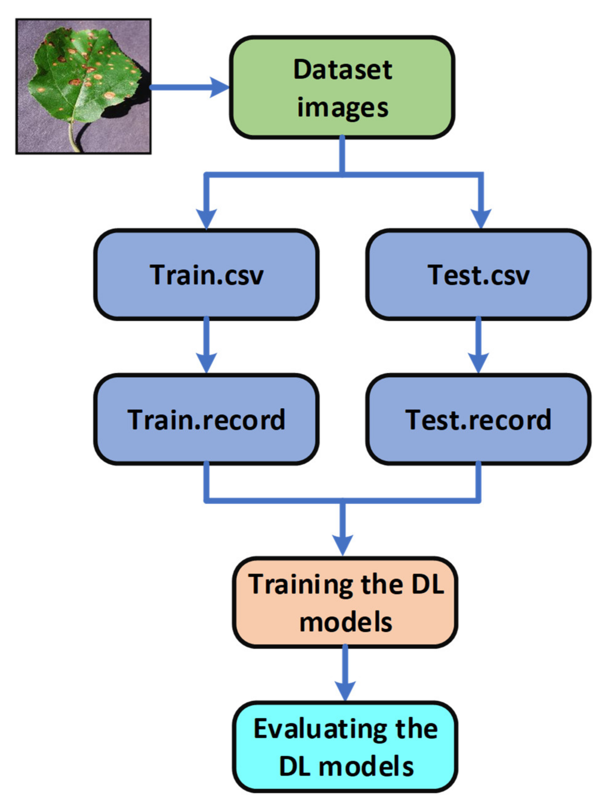 Plants 09 01451 g002
