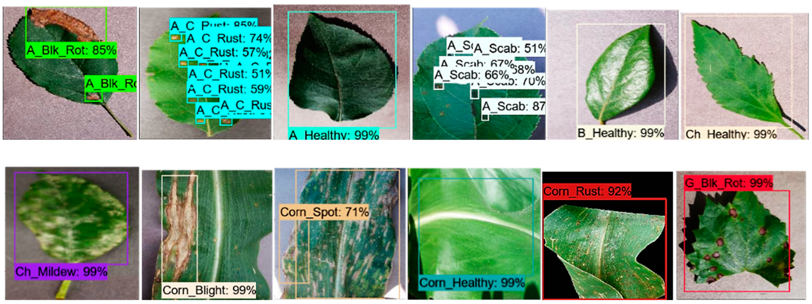 Plants 09 01451 g009a