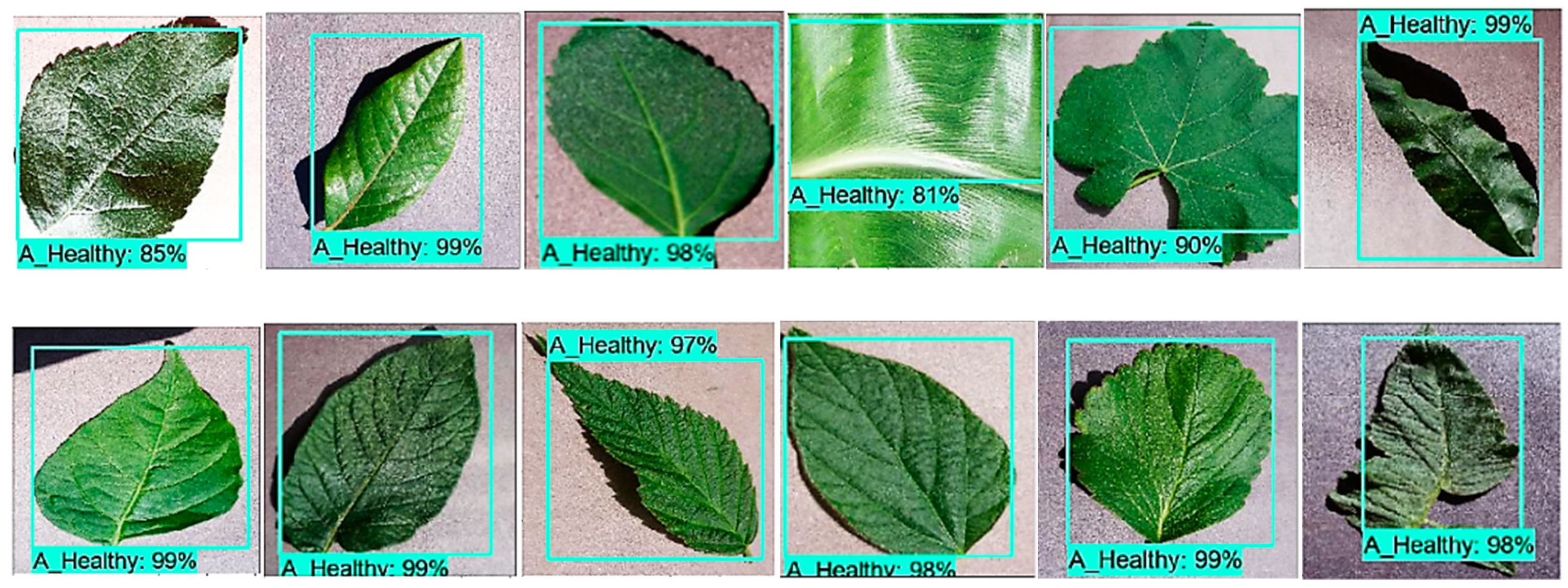 Plants 09 01451 g010