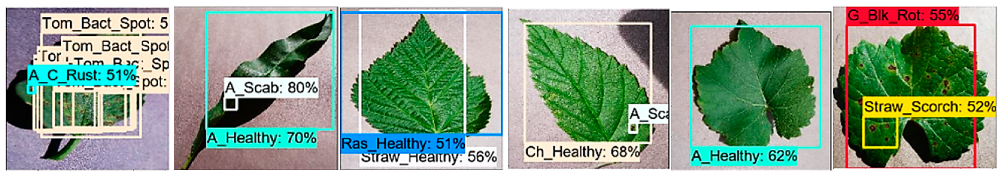 Plants 09 01451 g014