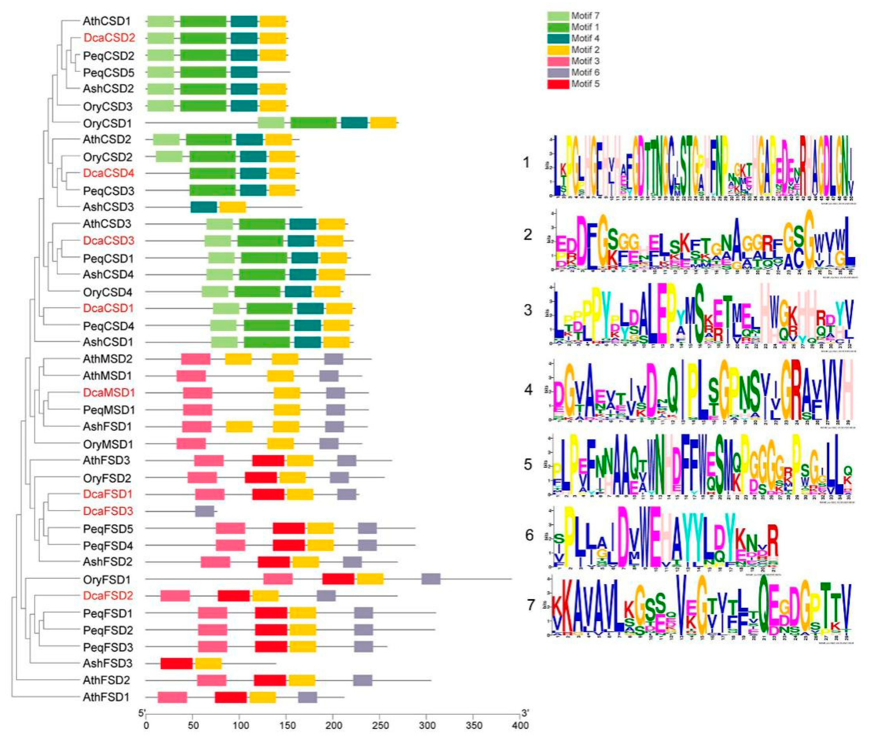 Plants 09 01452 g002