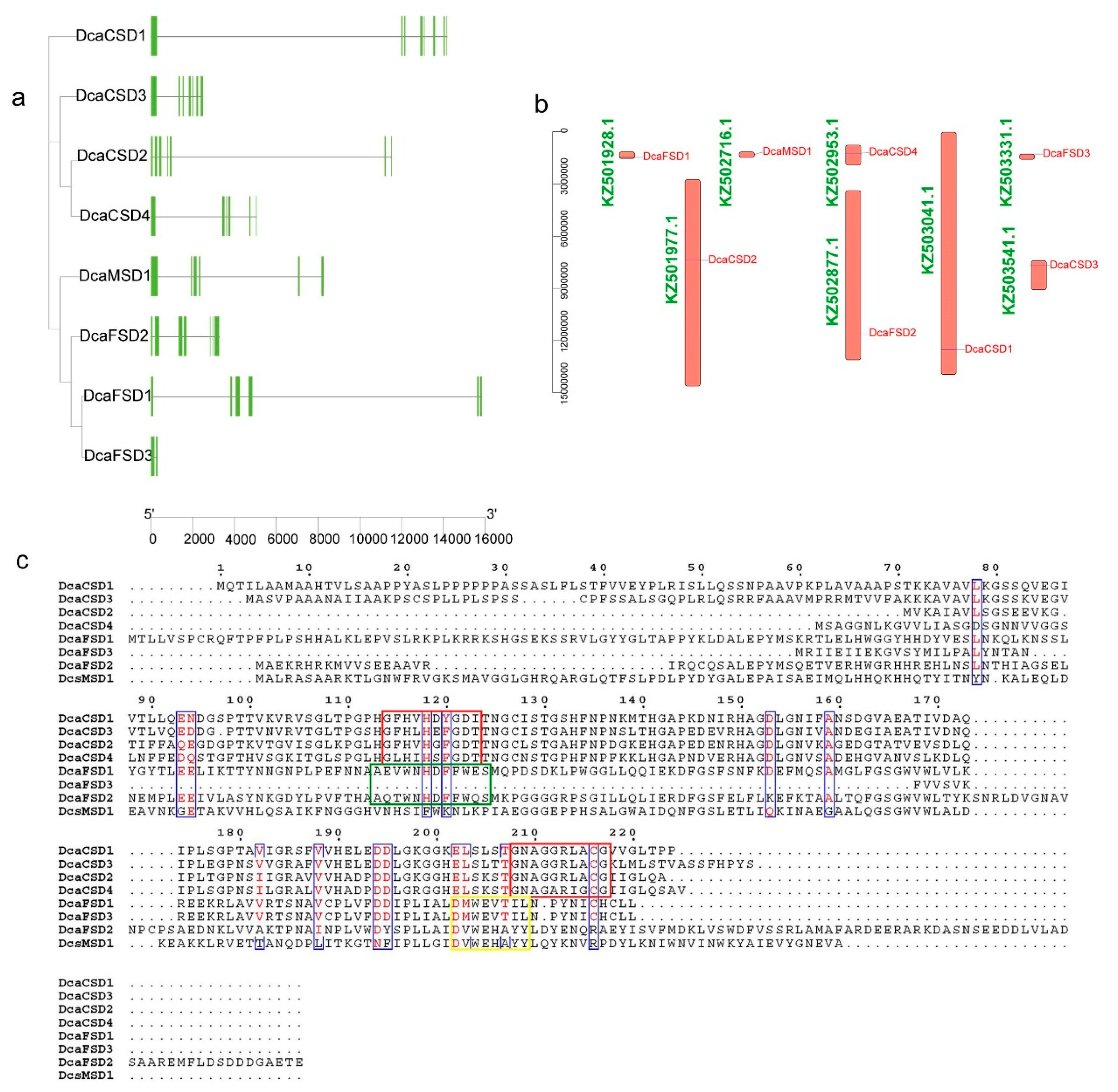 Plants 09 01452 g003