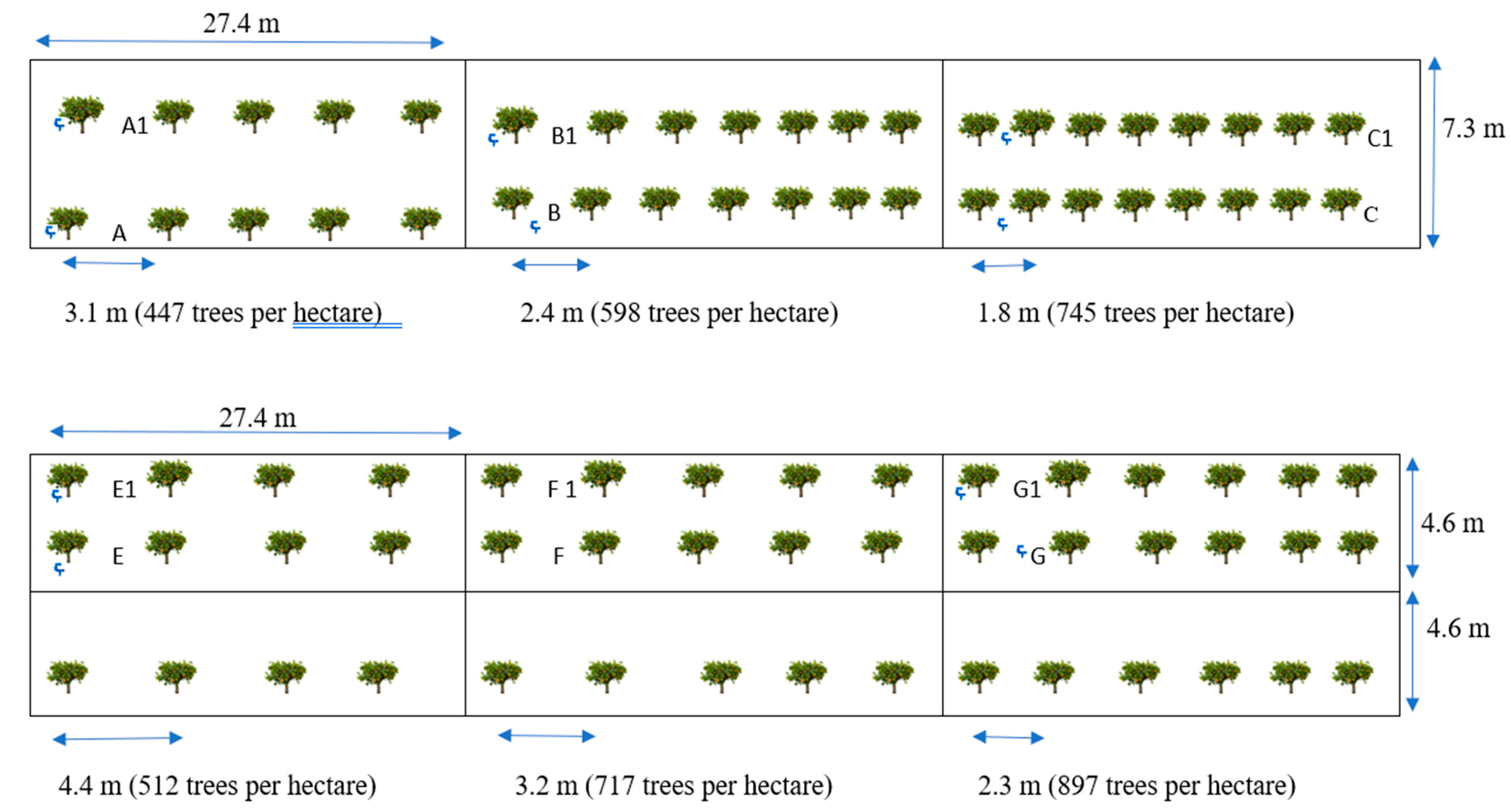 Plants 09 01462 g001