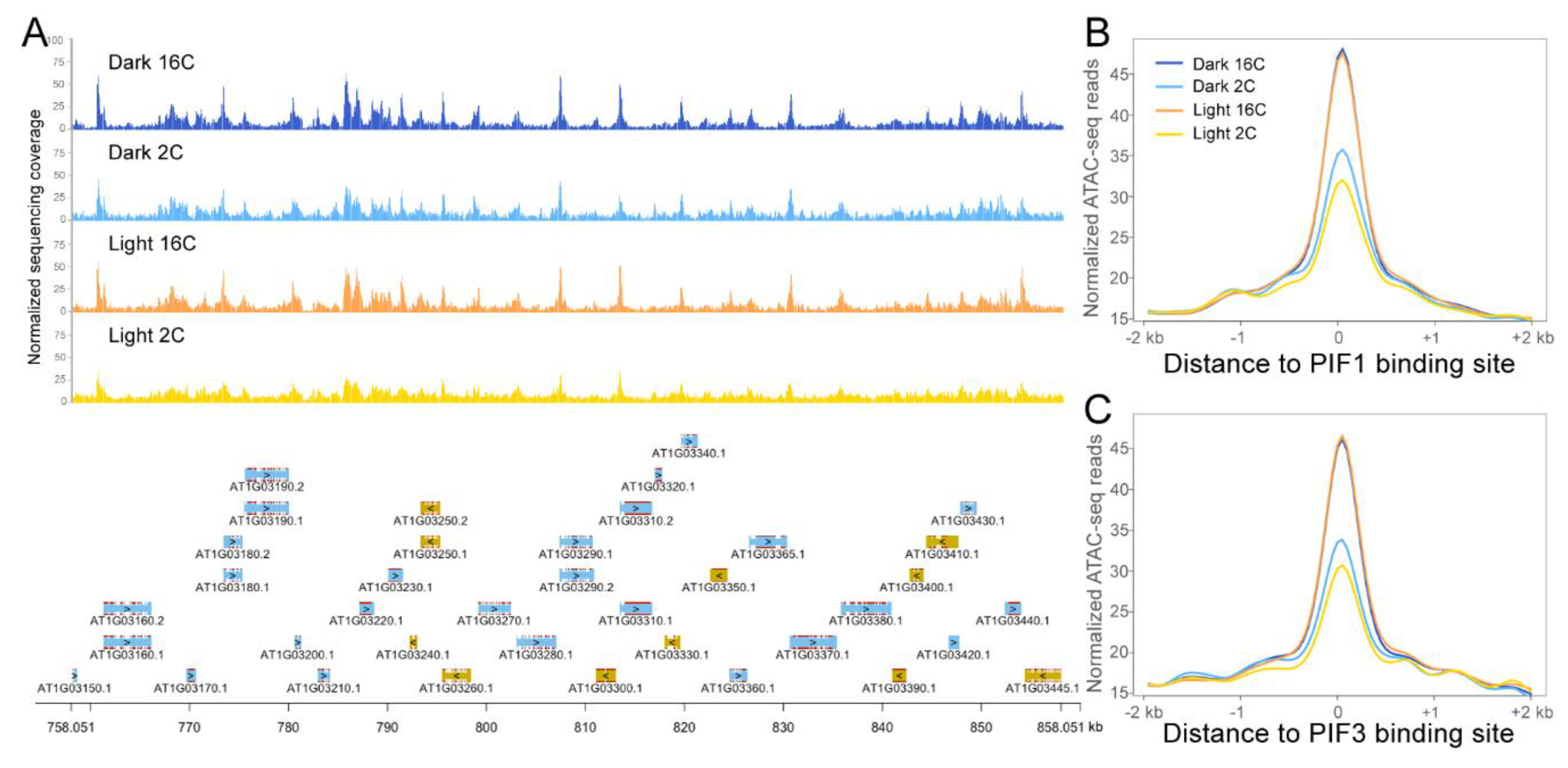 Plants 09 01478 g002 Plants 09 01478 g002