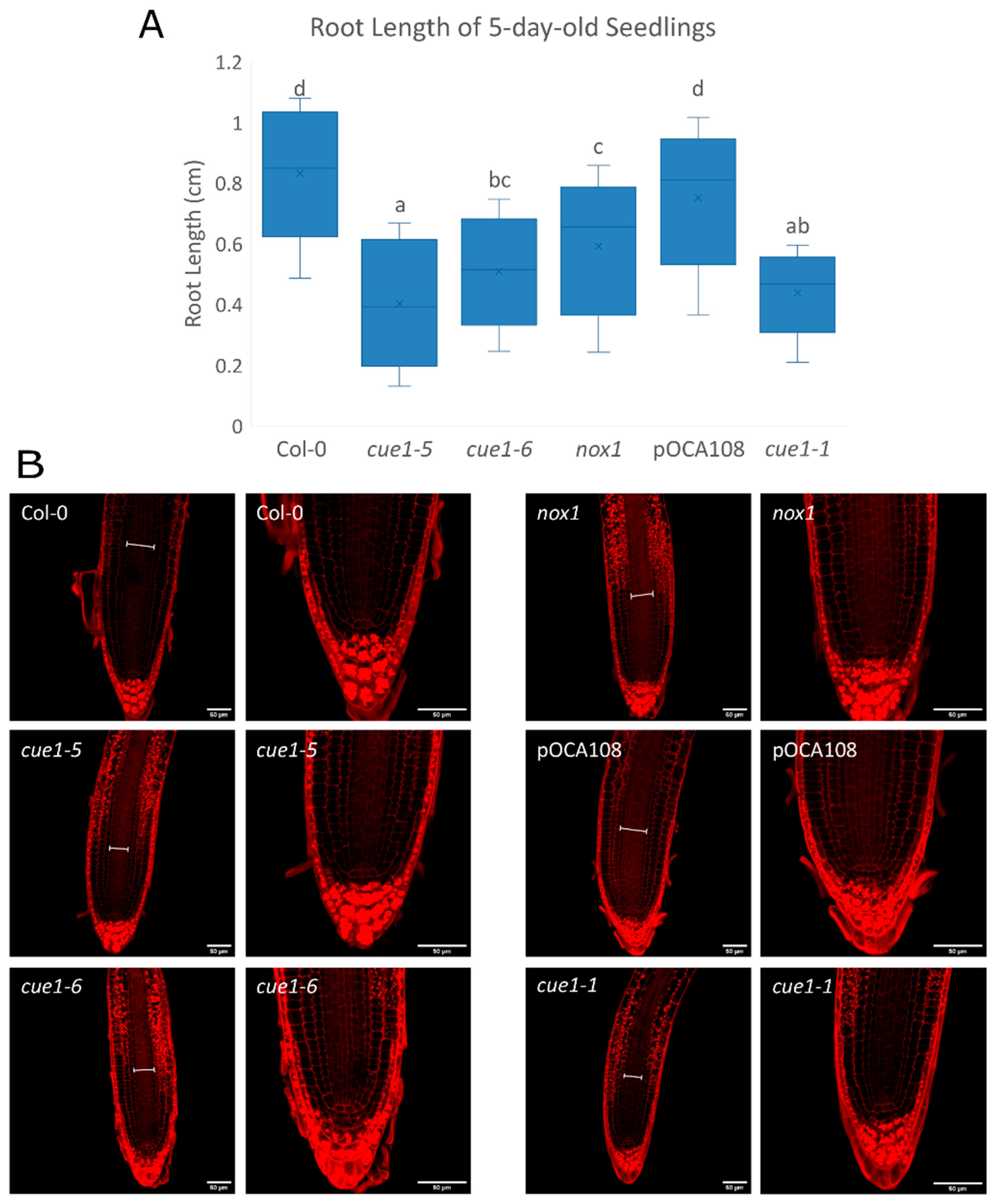 Plants 09 01484 g004
