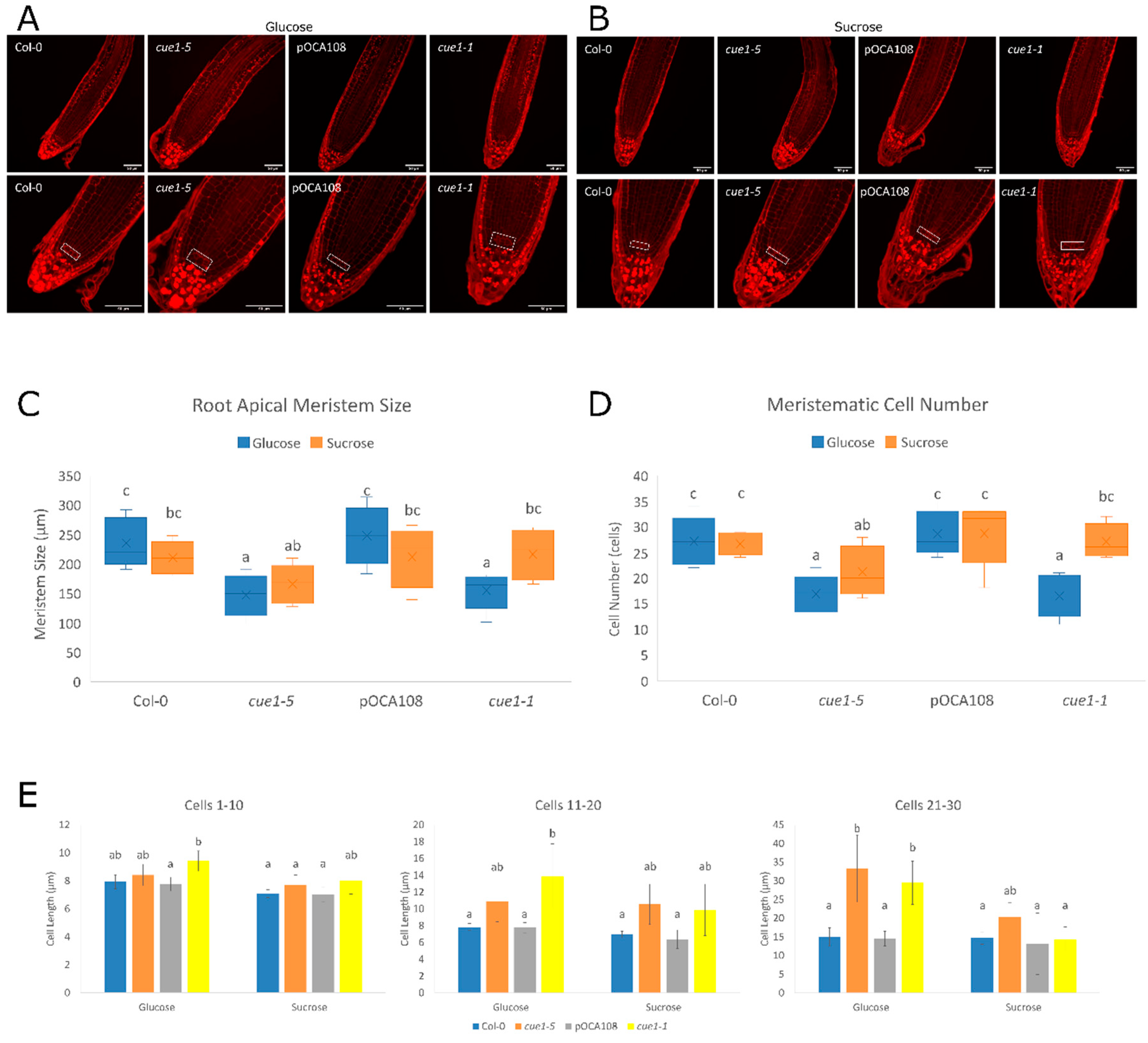 Plants 09 01484 g006