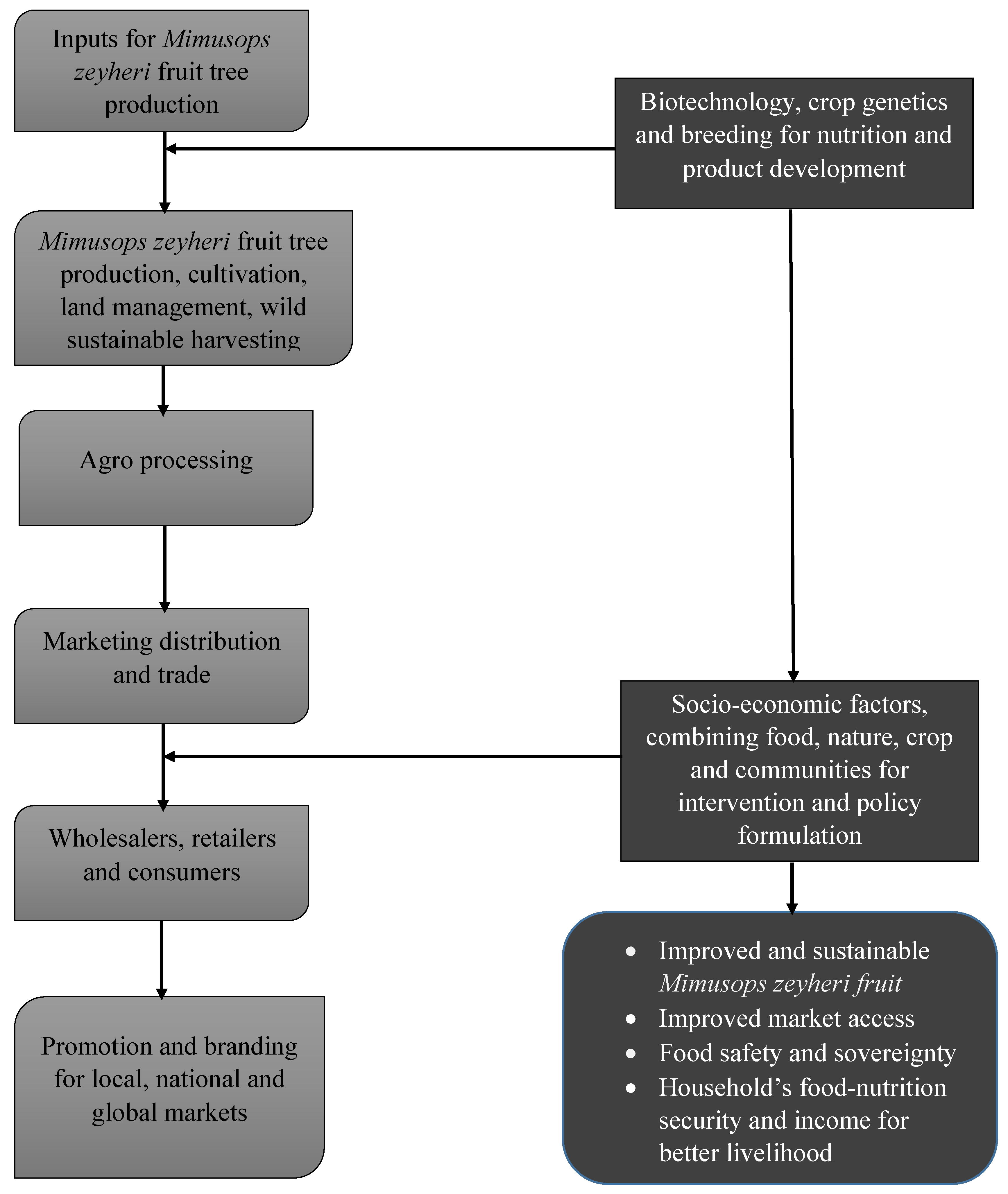 Plants 09 01486 g003