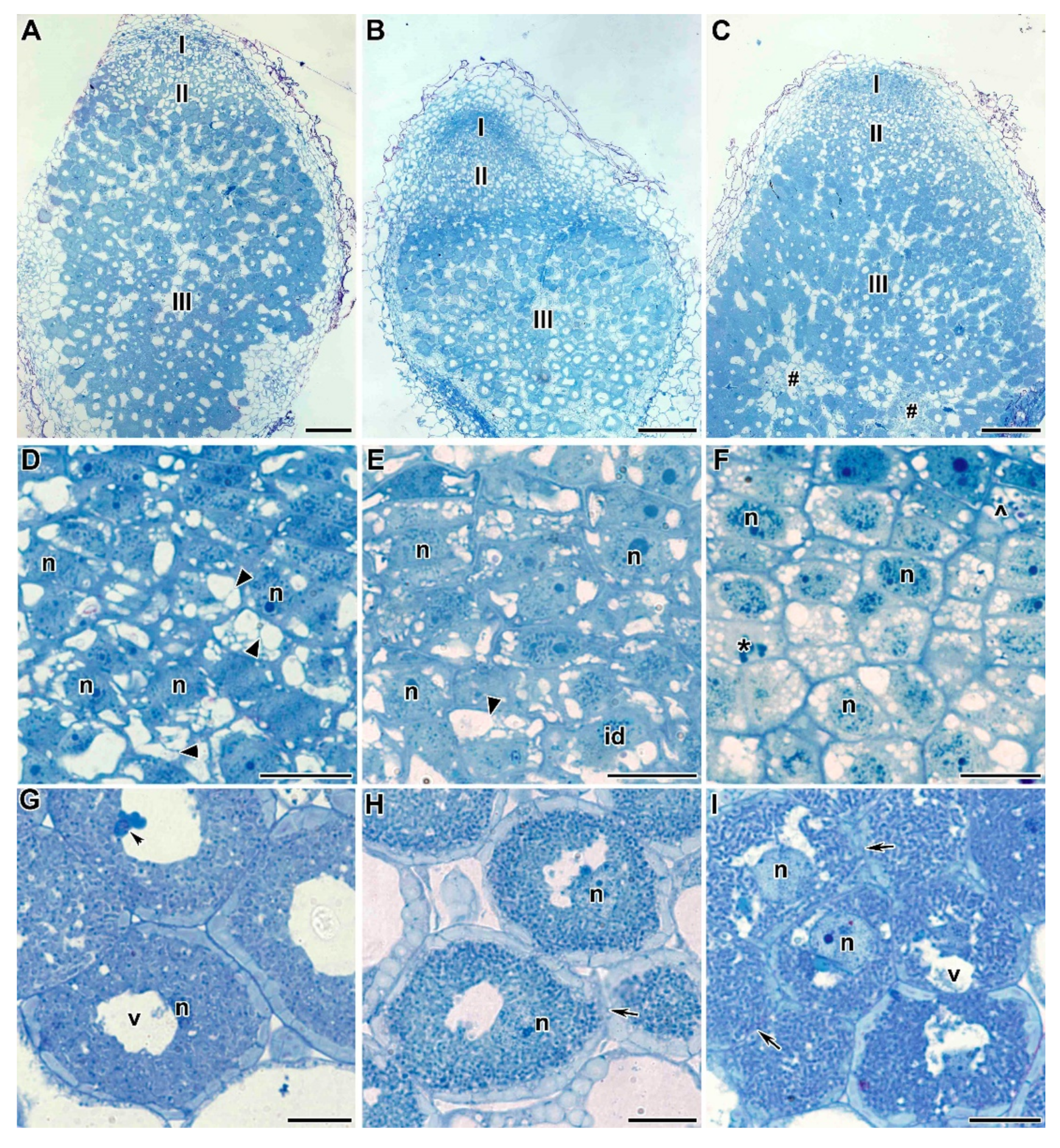 Plants 09 01488 g005