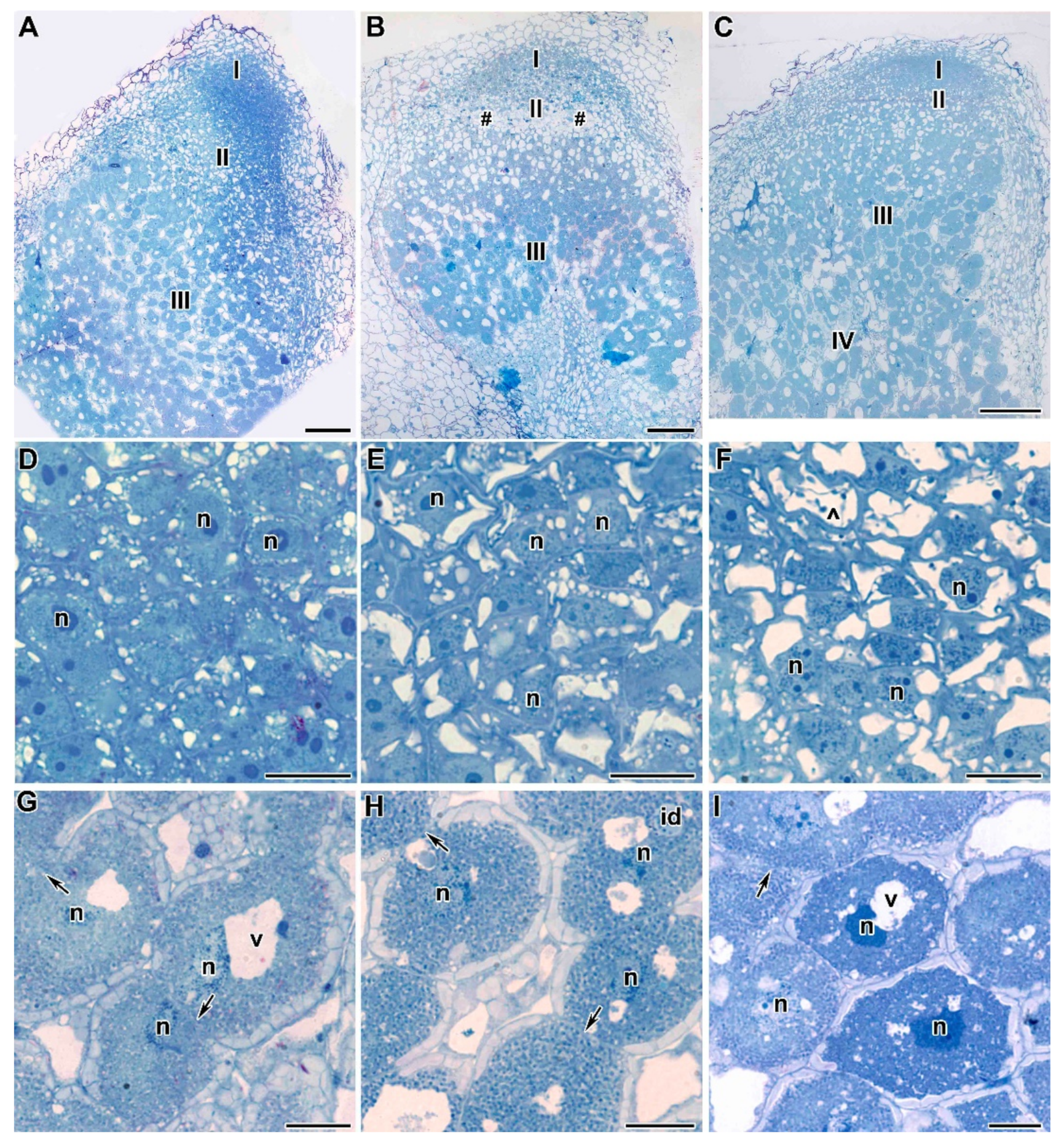 Plants 09 01488 g006