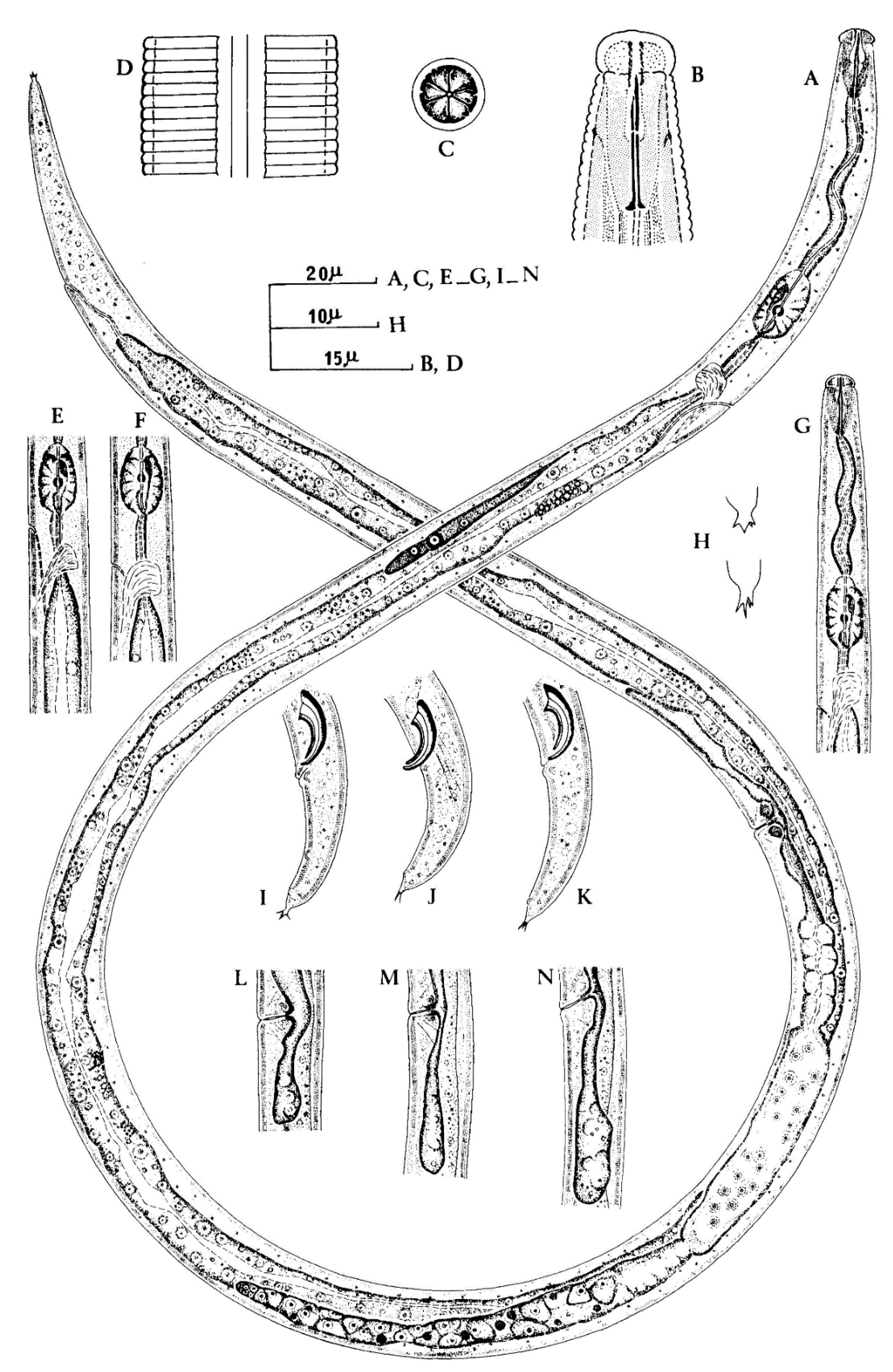 Plants 09 01490 g001 Plants 09 01490 g001