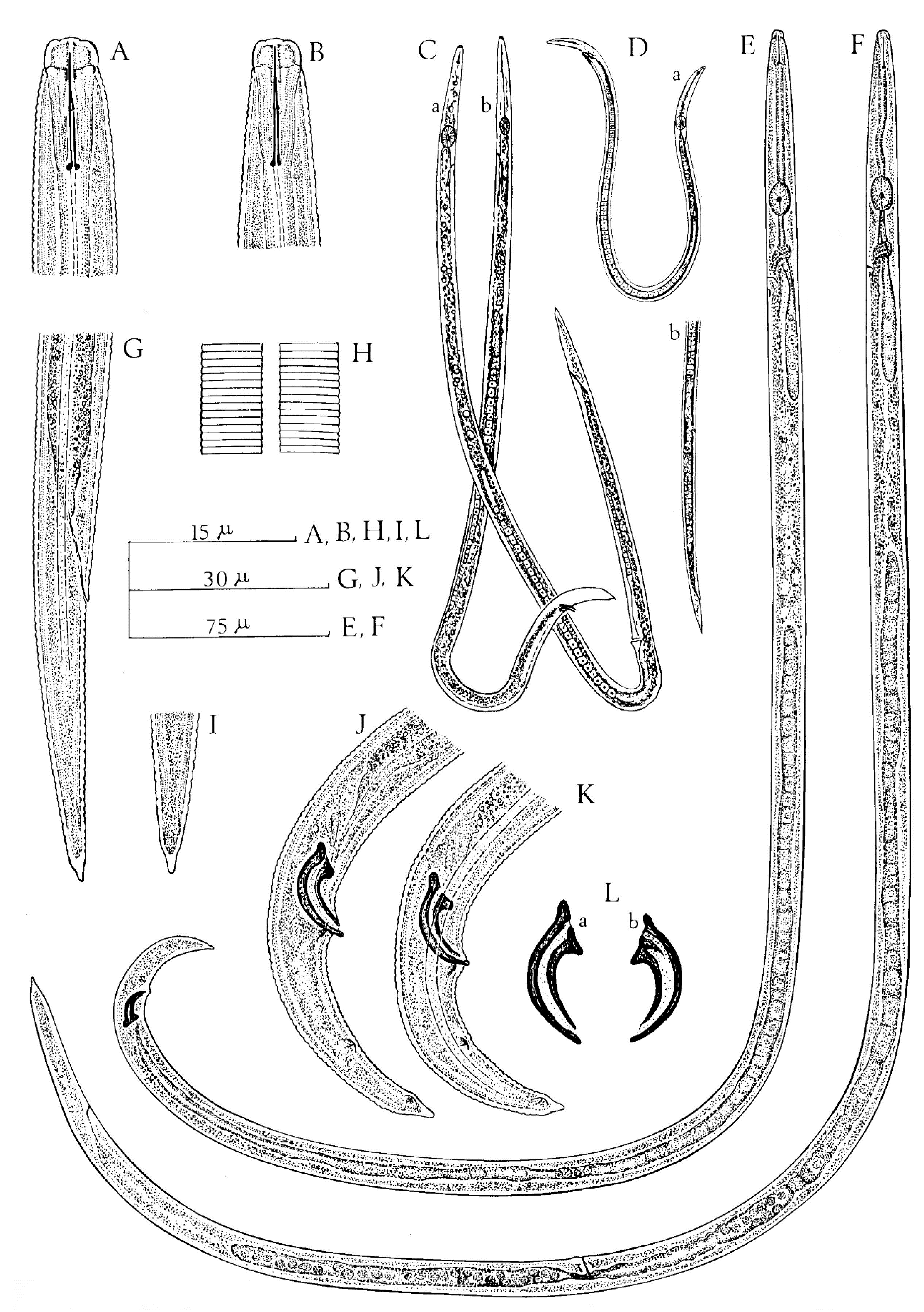 Plants 09 01490 g005 Plants 09 01490 g005