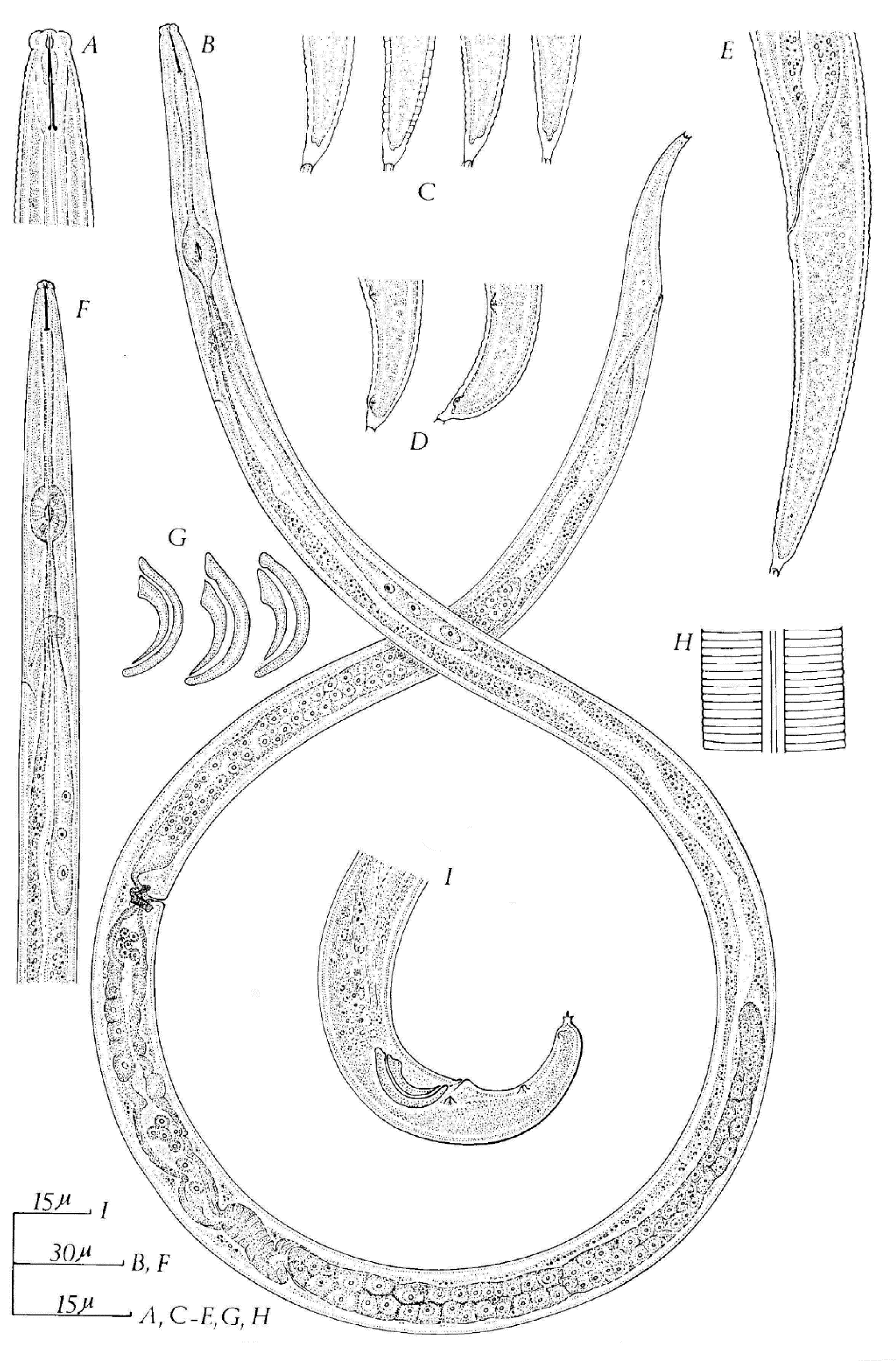 Plants 09 01490 g006 Plants 09 01490 g006