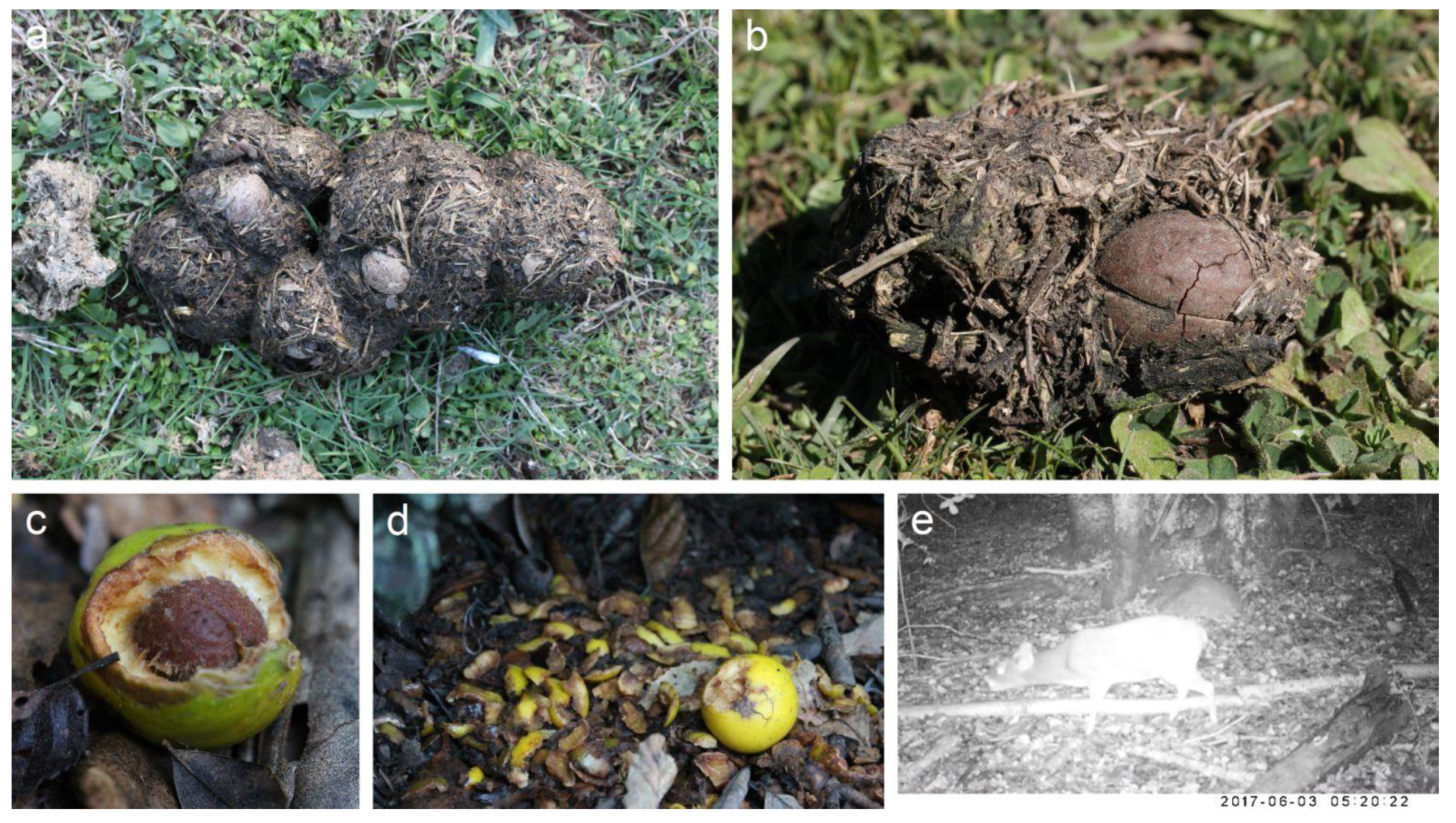 Plants 09 01492 g002