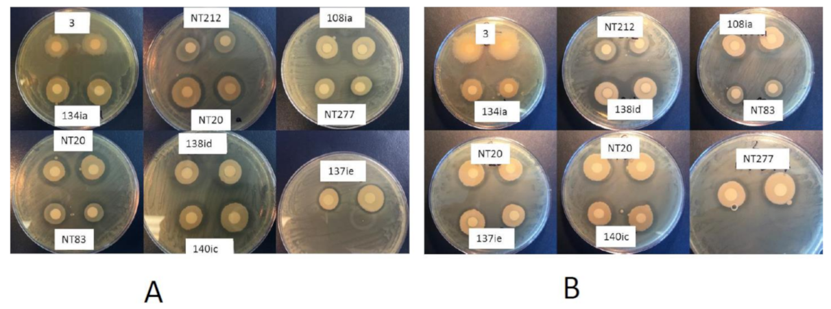 Plants 09 01494 g002 Plants 09 01494 g002