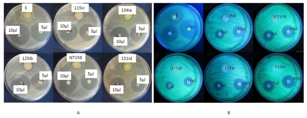 Plants 09 01494 g004 Plants 09 01494 g004