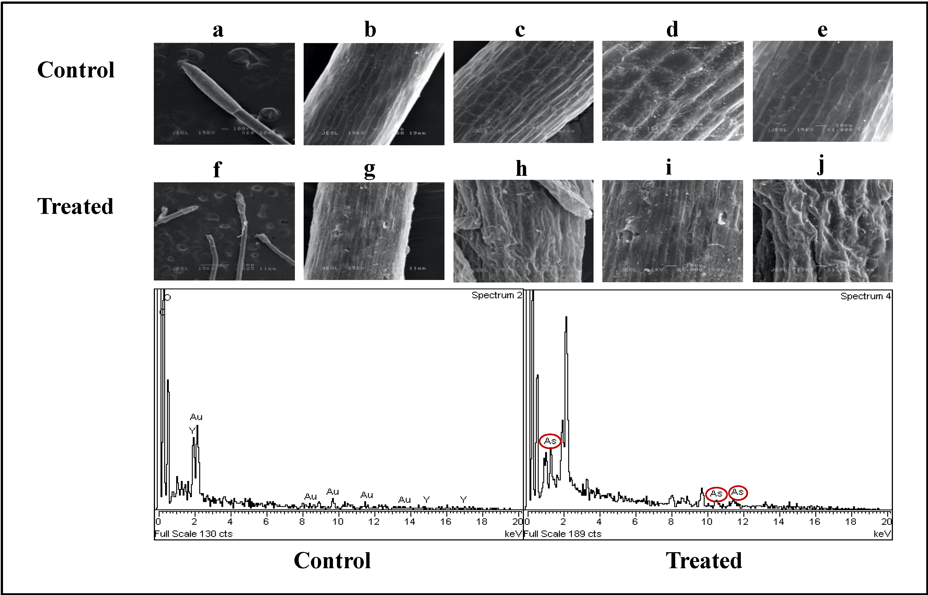 Plants 09 01500 g008 Plants 09 01500 g008