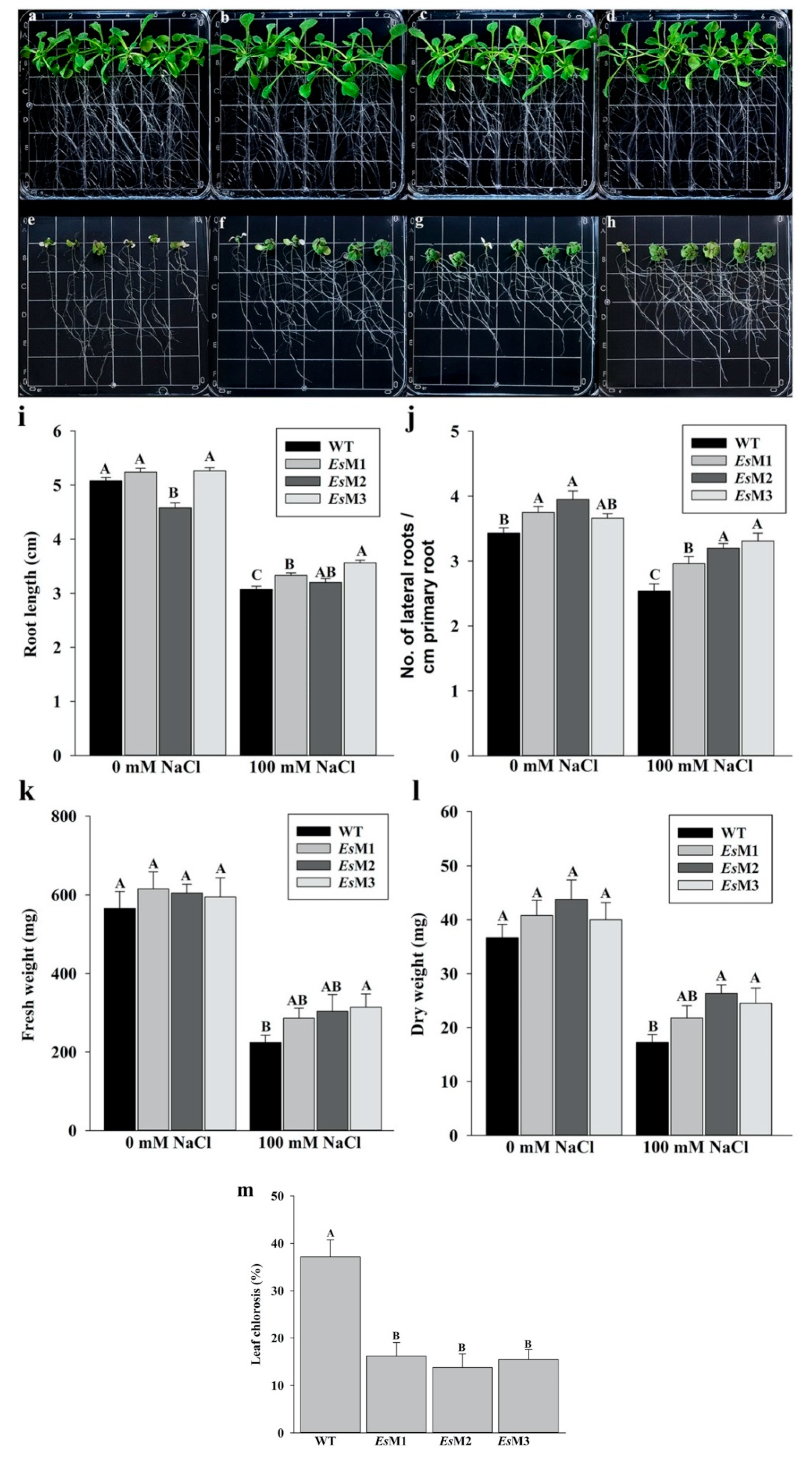 Plants 09 01508 g001