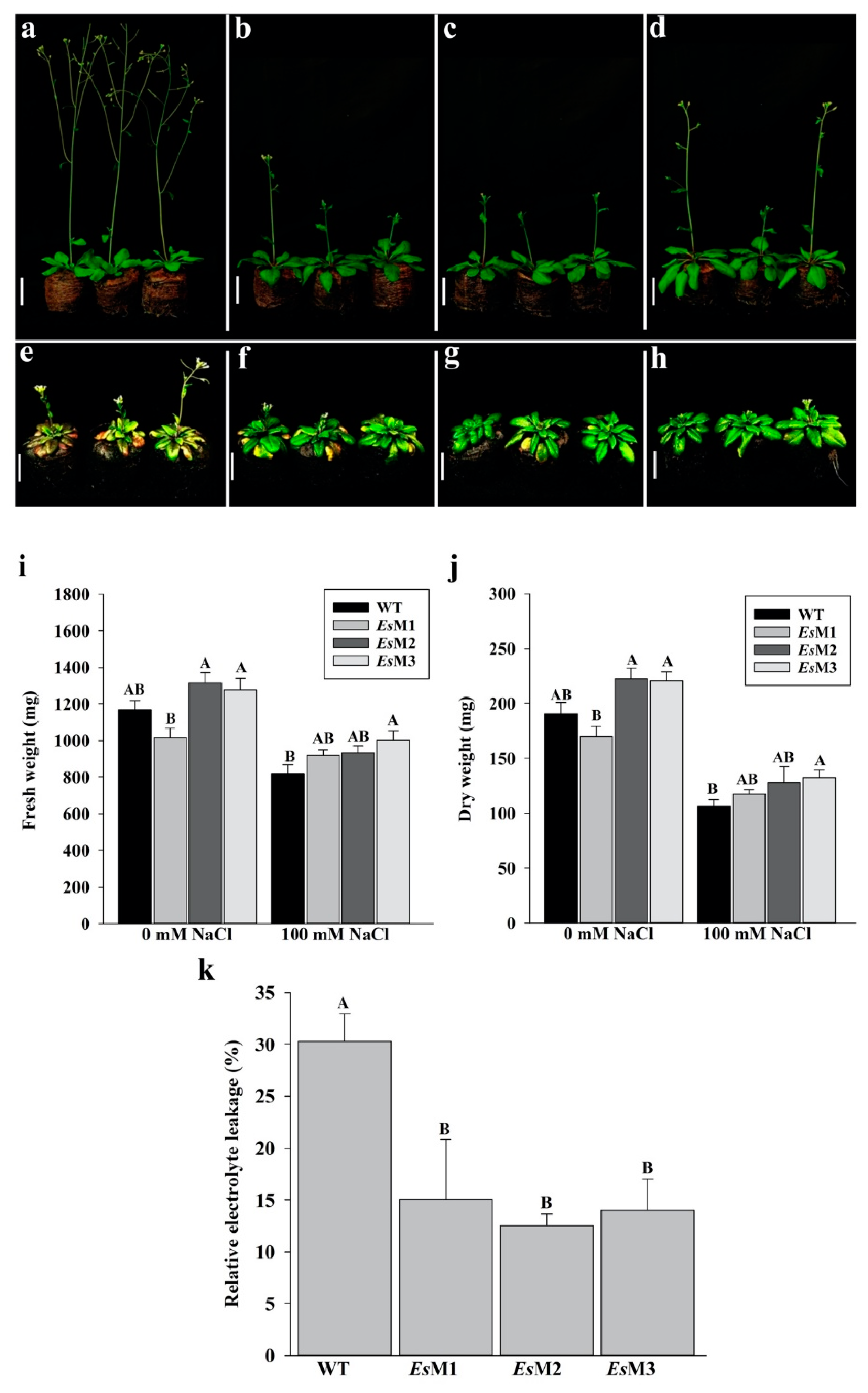 Plants 09 01508 g002