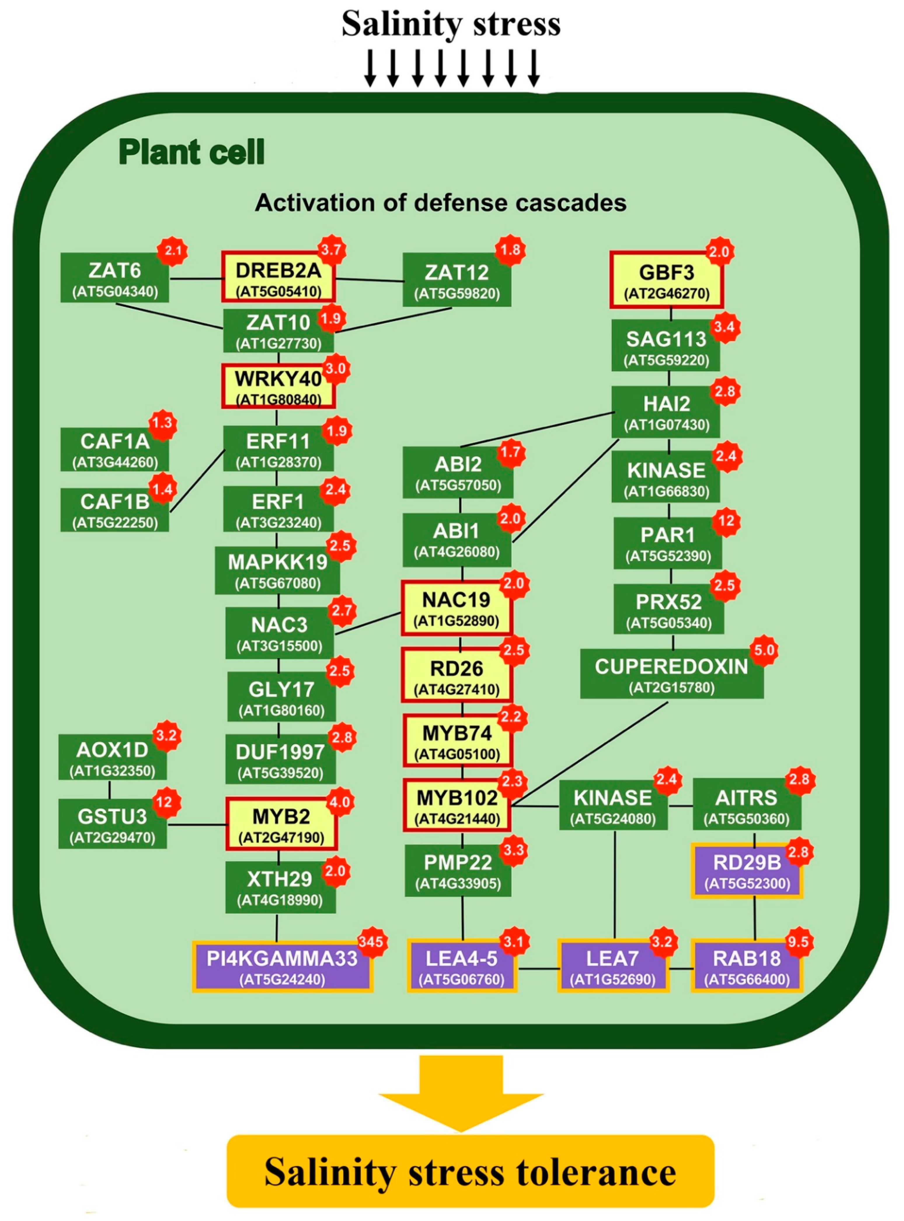 Plants 09 01508 g005