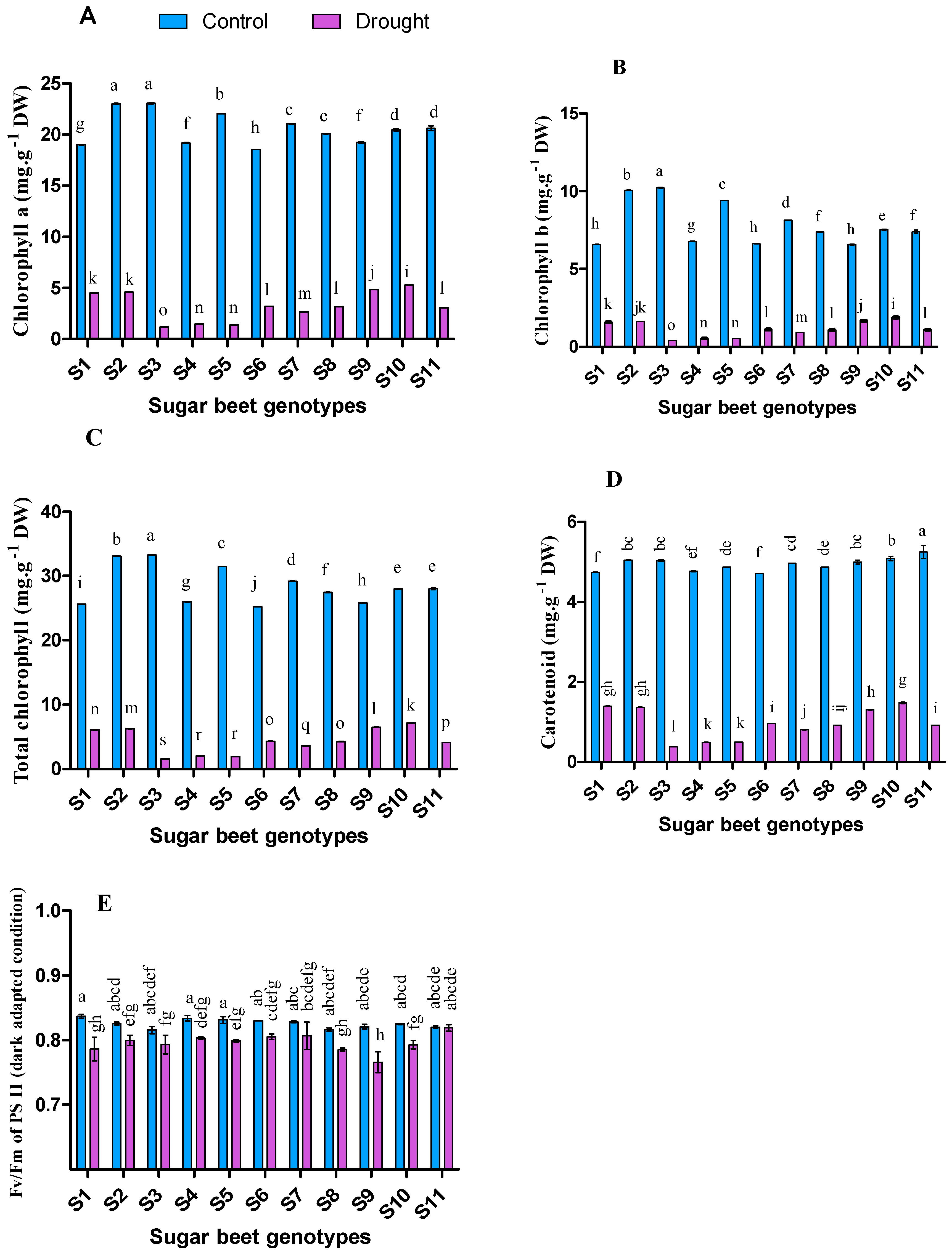 Plants 09 01511 g001