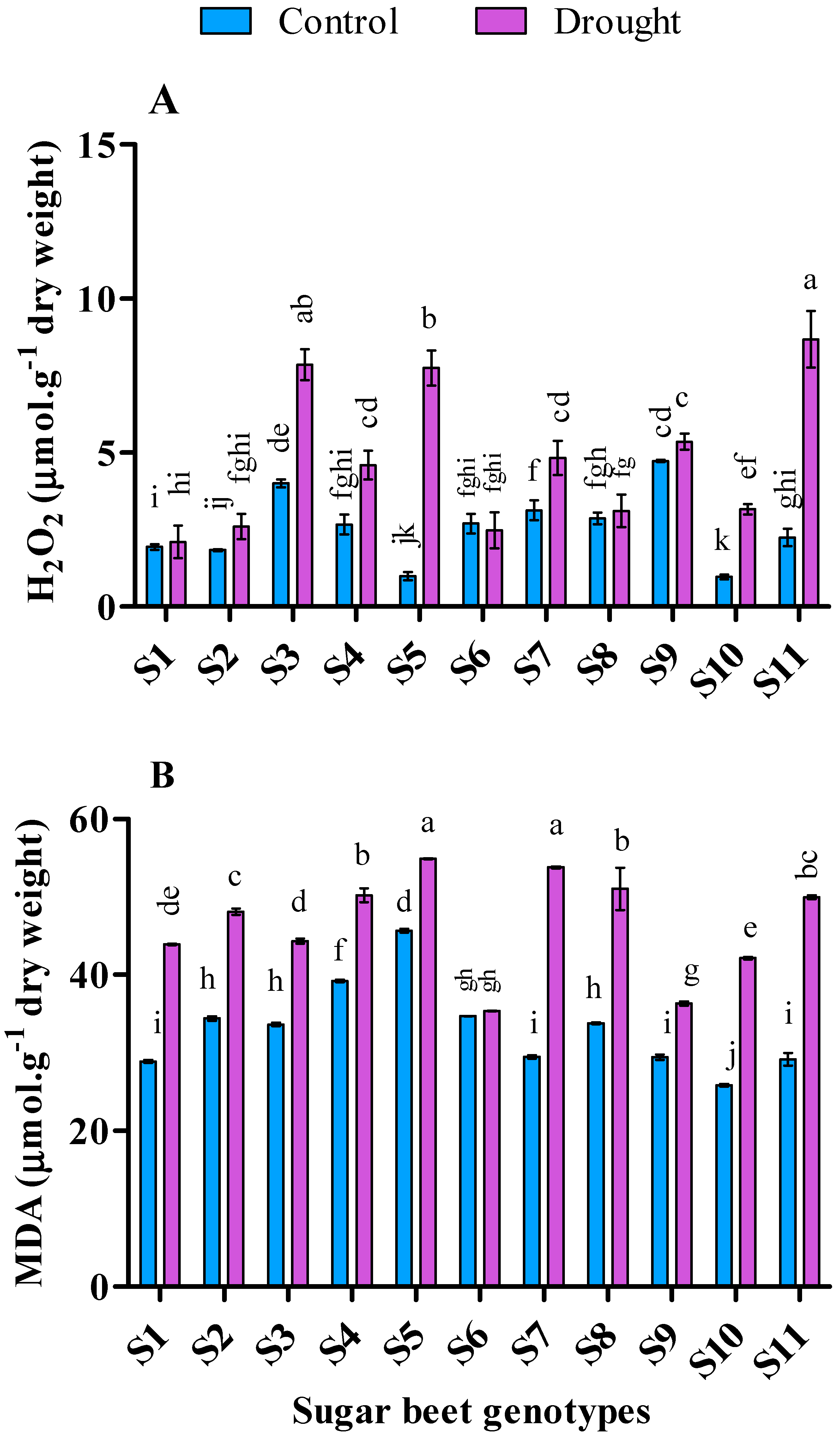Plants 09 01511 g004