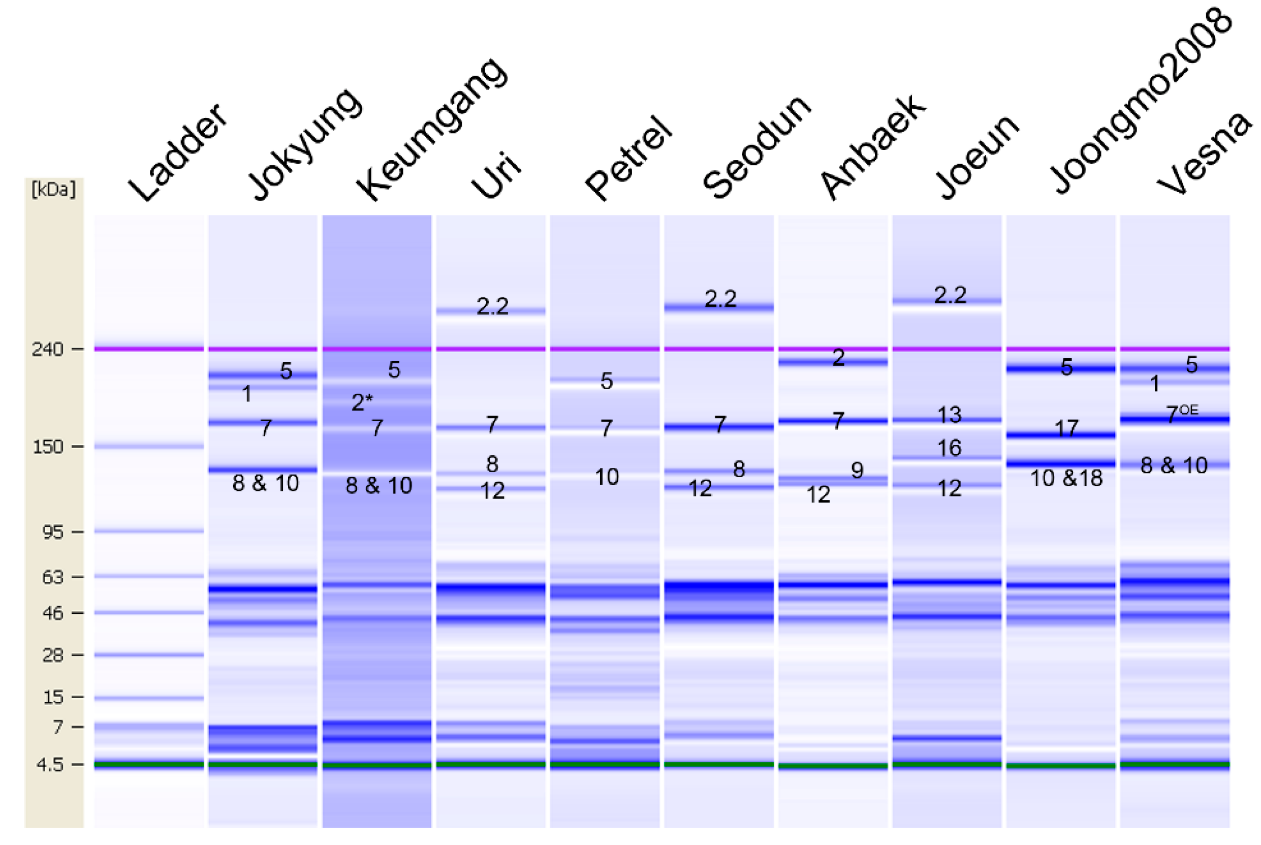 Plants 09 01517 g001
