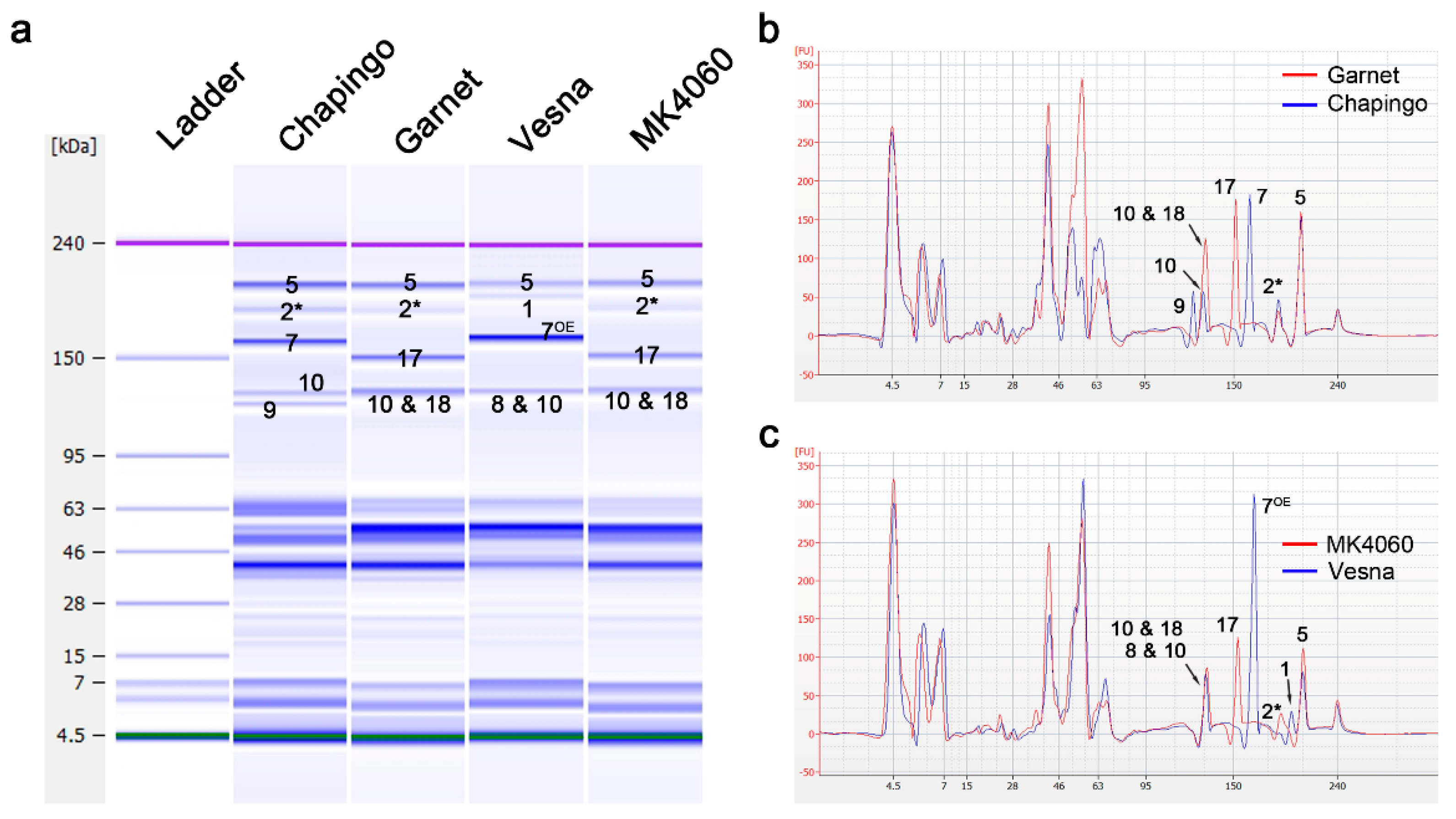Plants 09 01517 g003