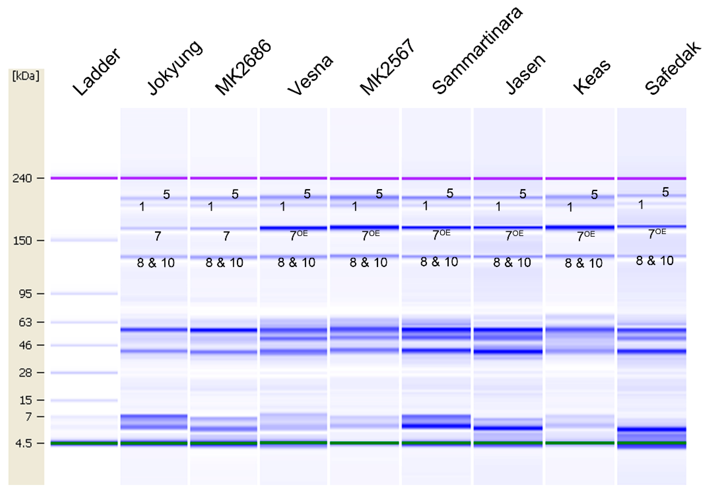Plants 09 01517 g004