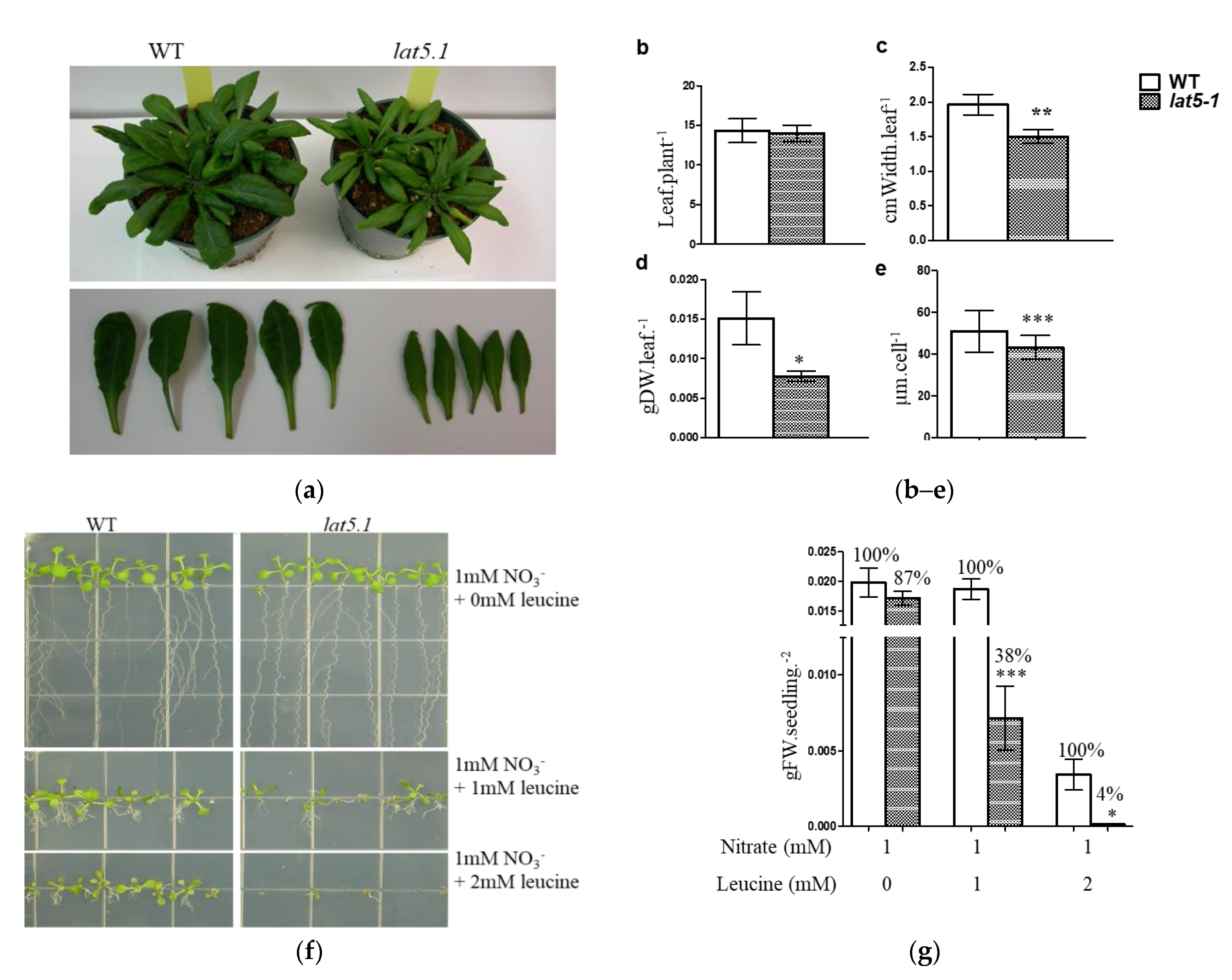Plants 09 01519 g003 Plants 09 01519 g003