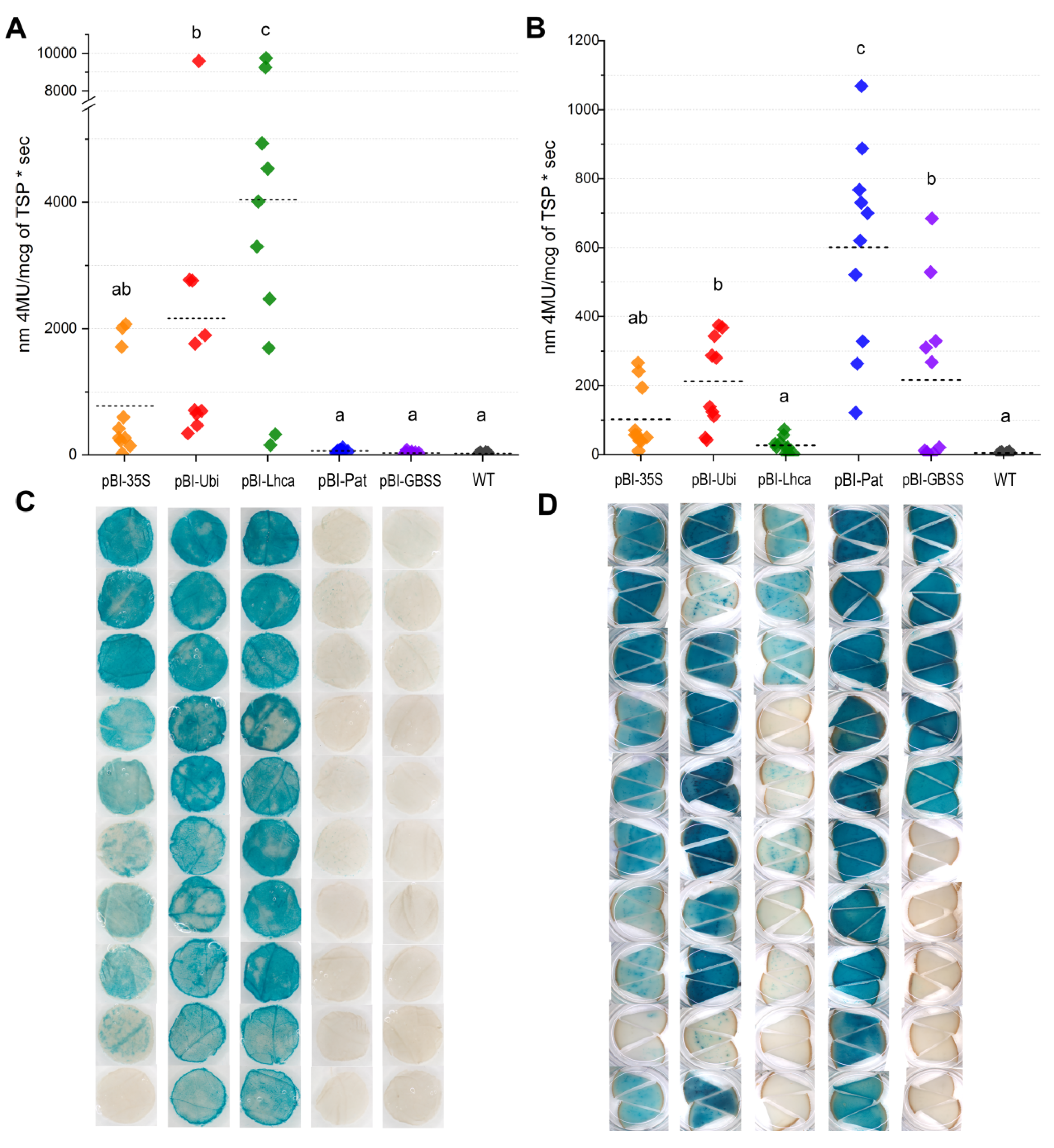 Plants 09 01520 g004