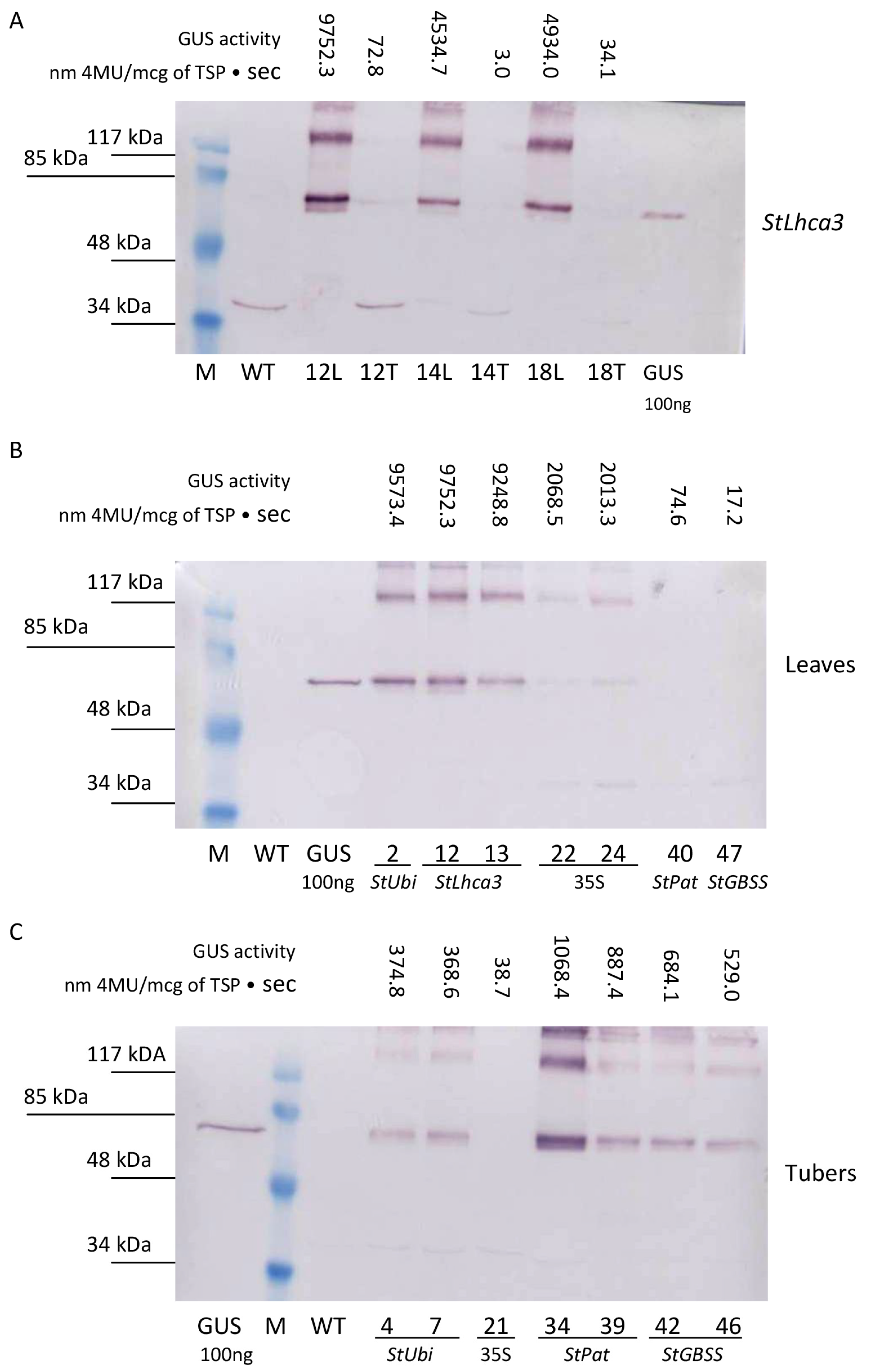 Plants 09 01520 g005