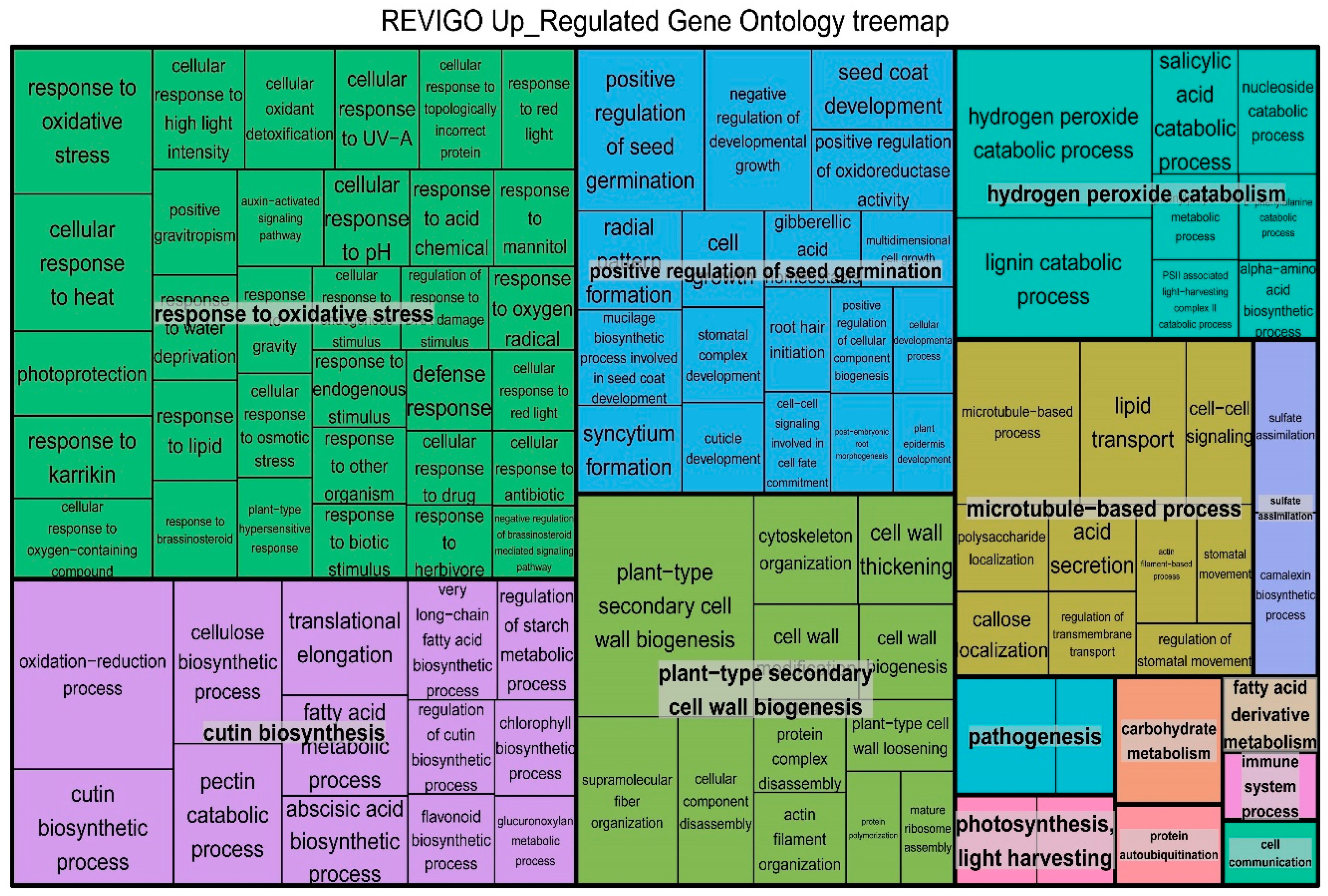 Plants 09 01522 g003 Plants 09 01522 g003