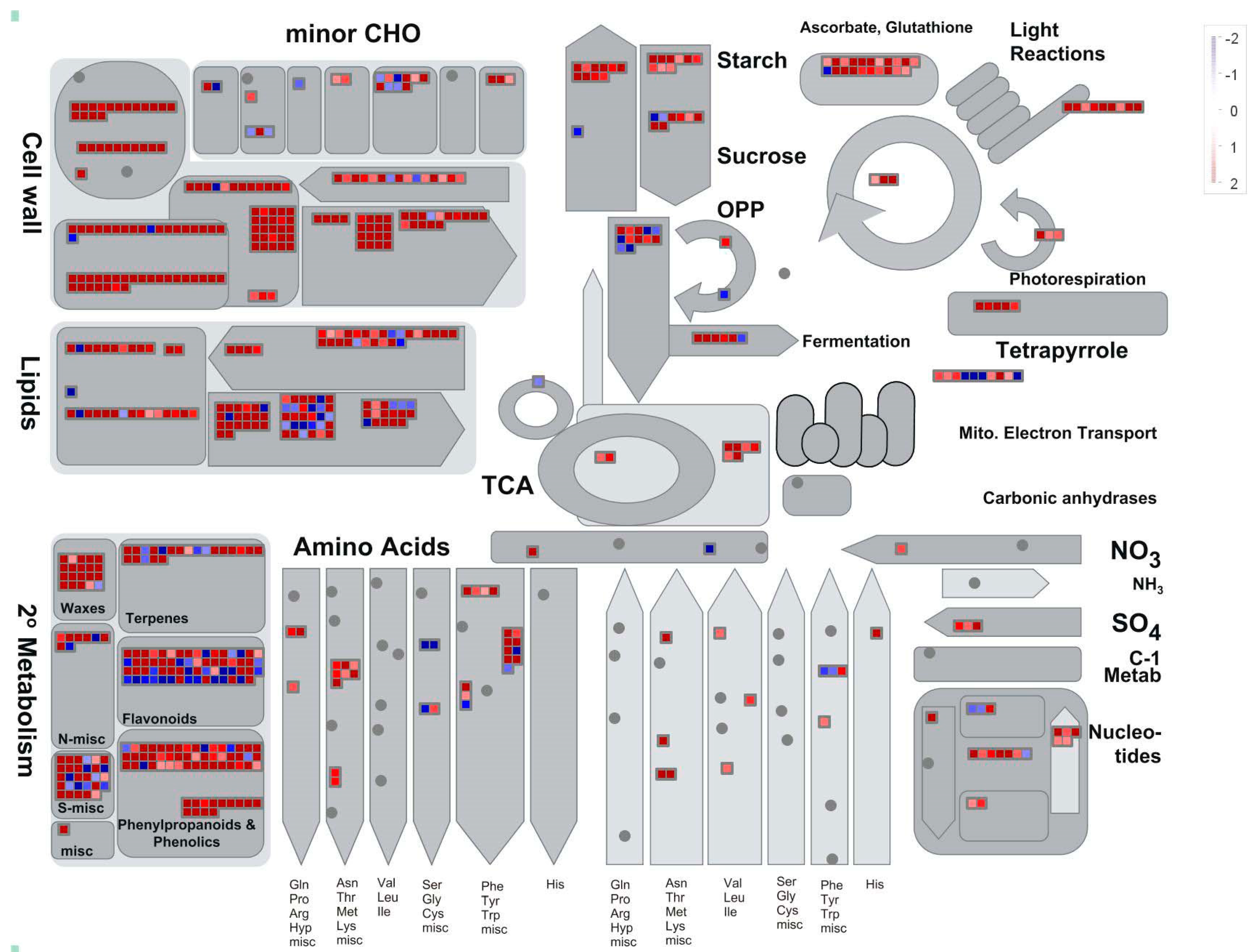 Plants 09 01522 g004 Plants 09 01522 g004