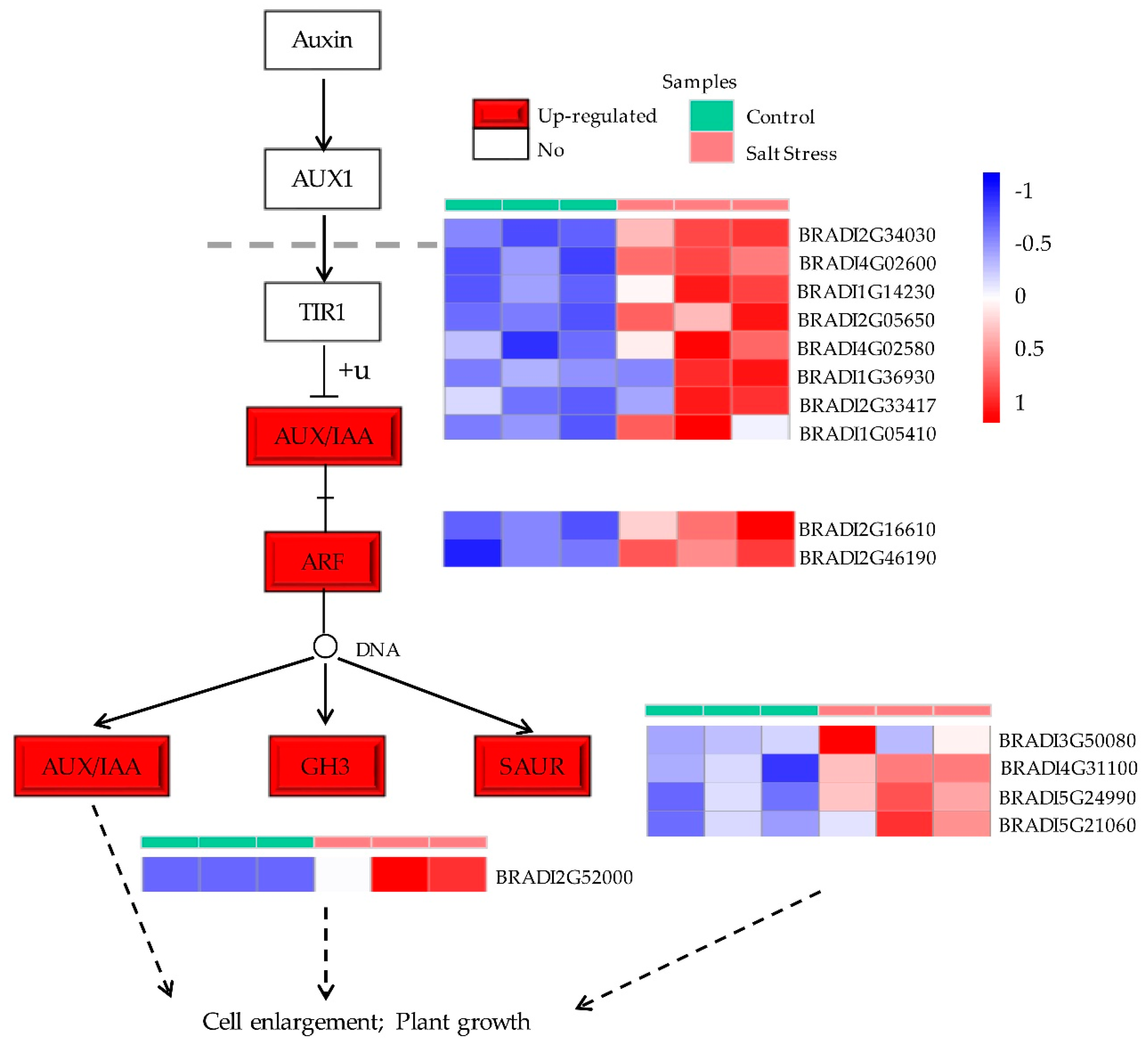 Plants 09 01522 g006 Plants 09 01522 g006