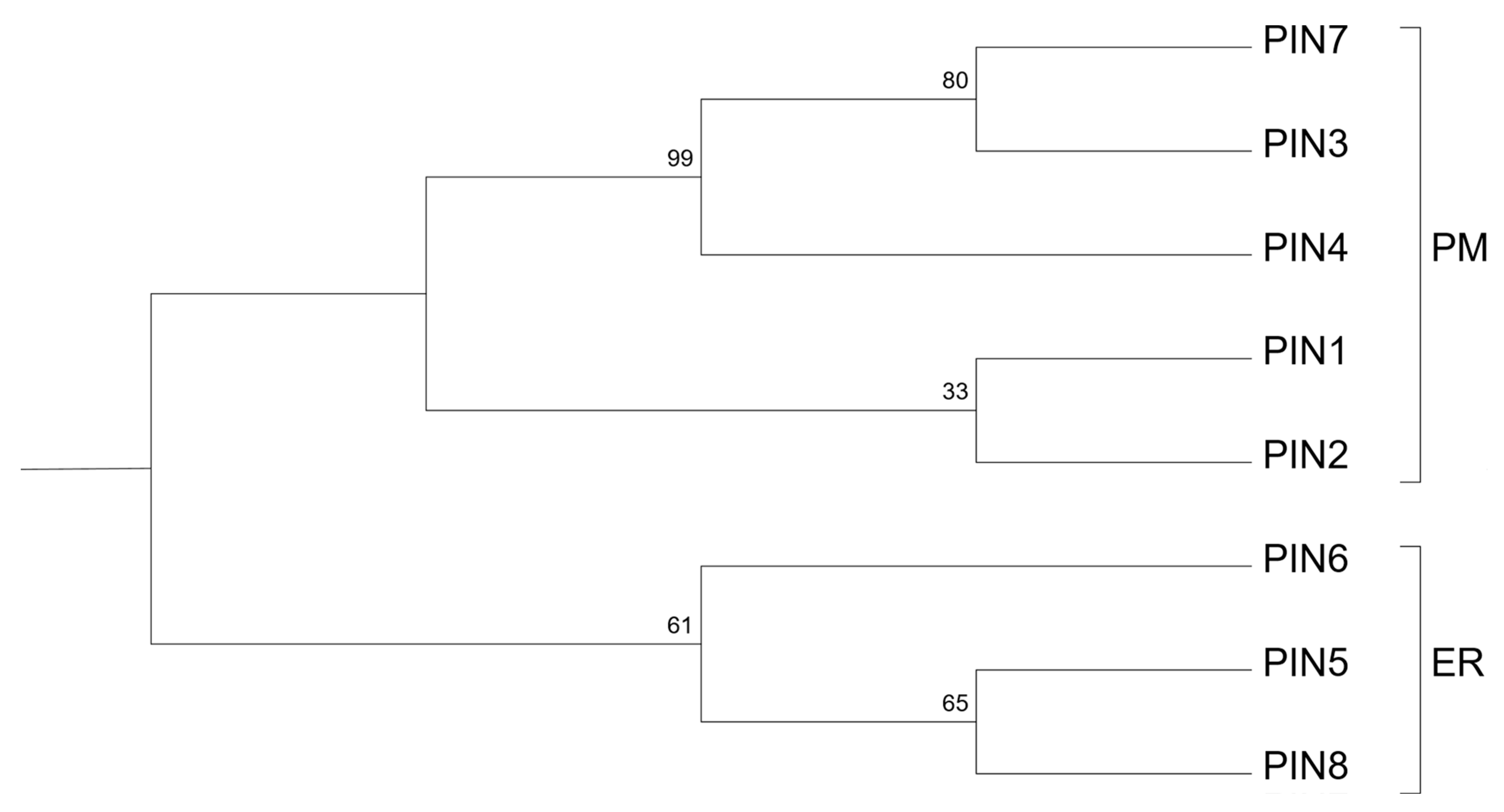 Plants 09 01527 g001