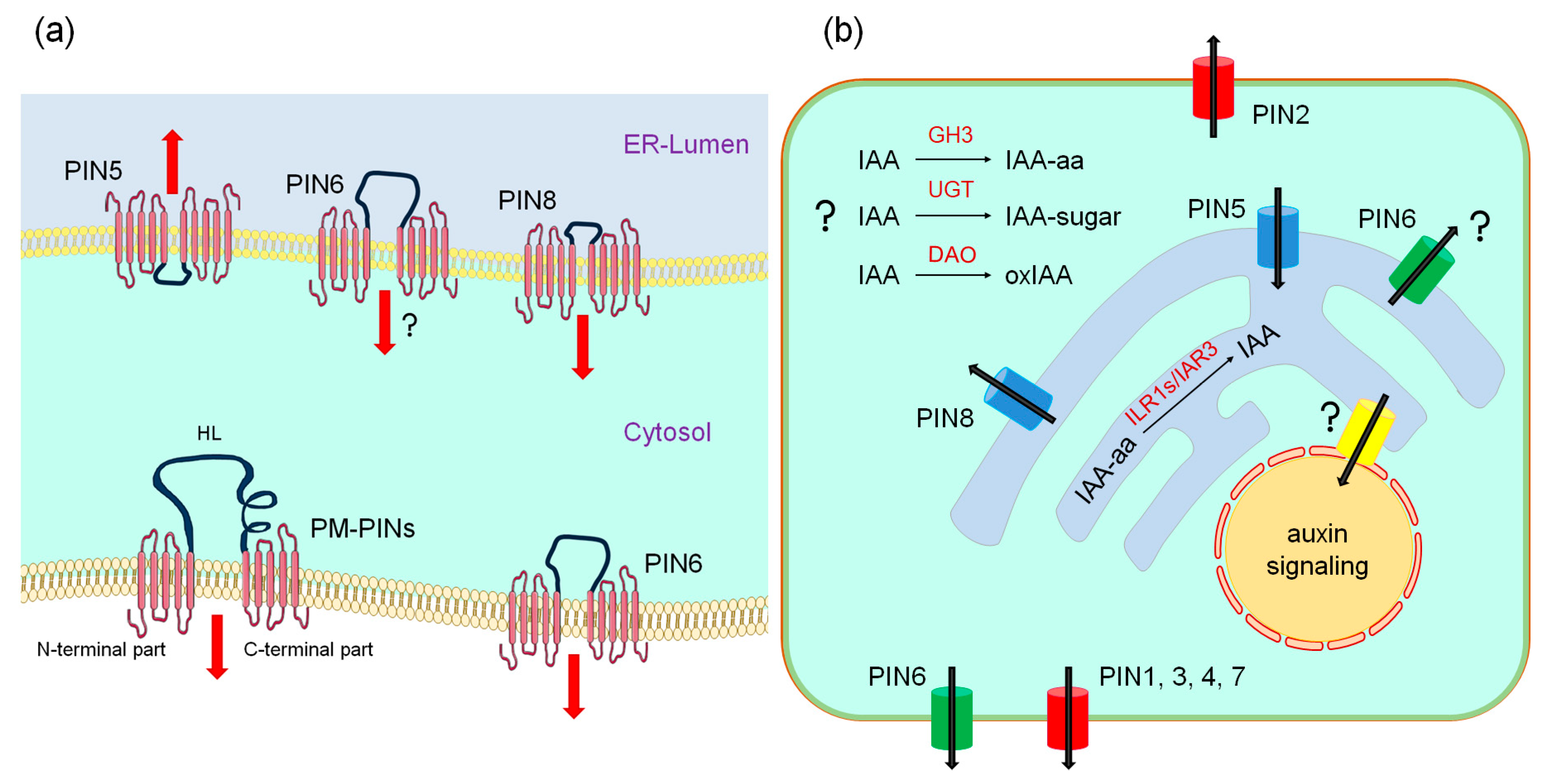 Plants 09 01527 g002