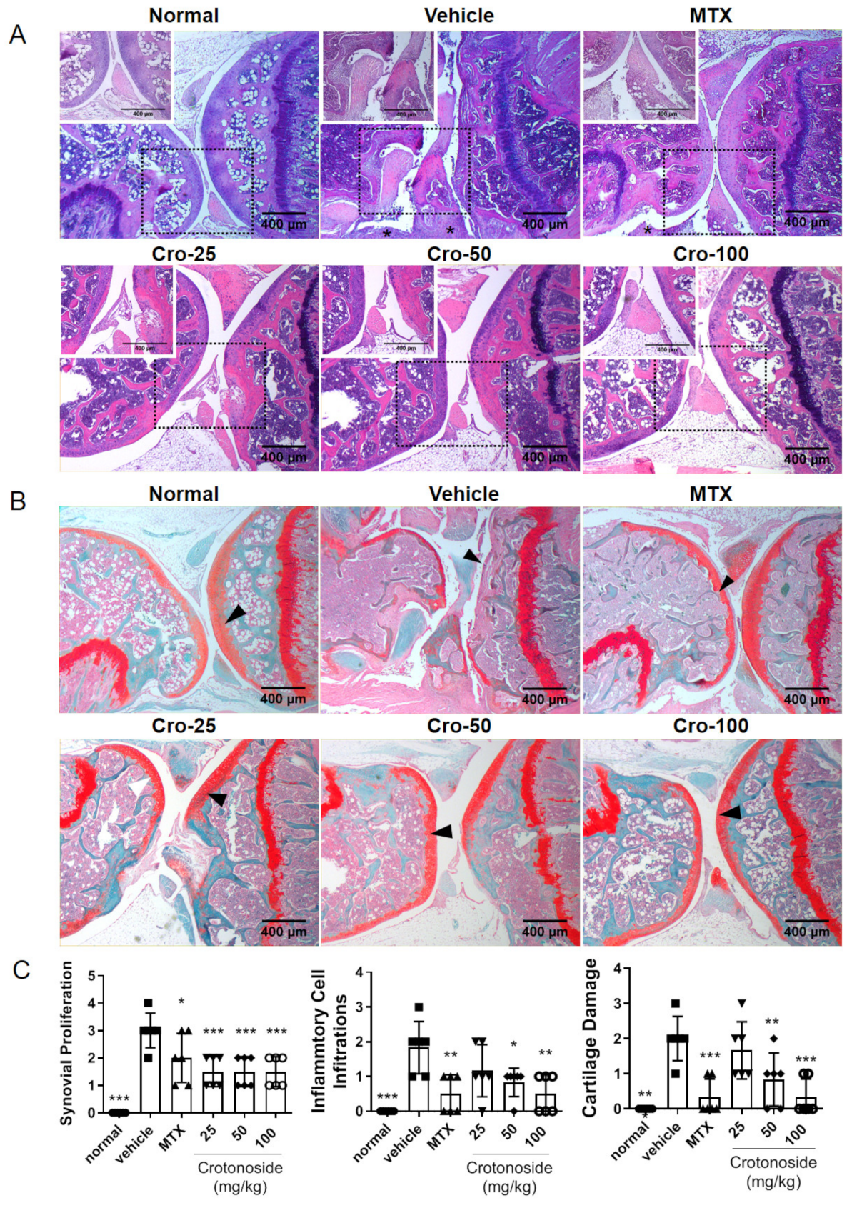 Plants 09 01535 g002