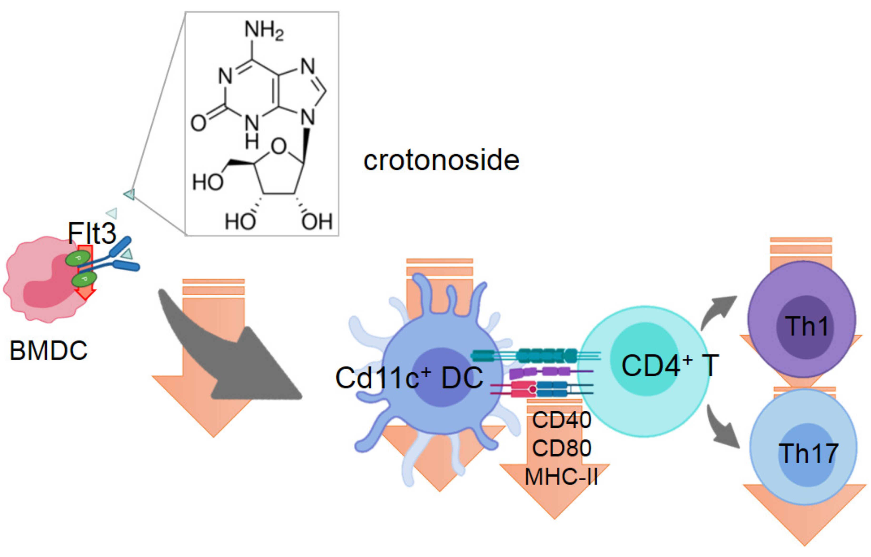 Plants 09 01535 g009