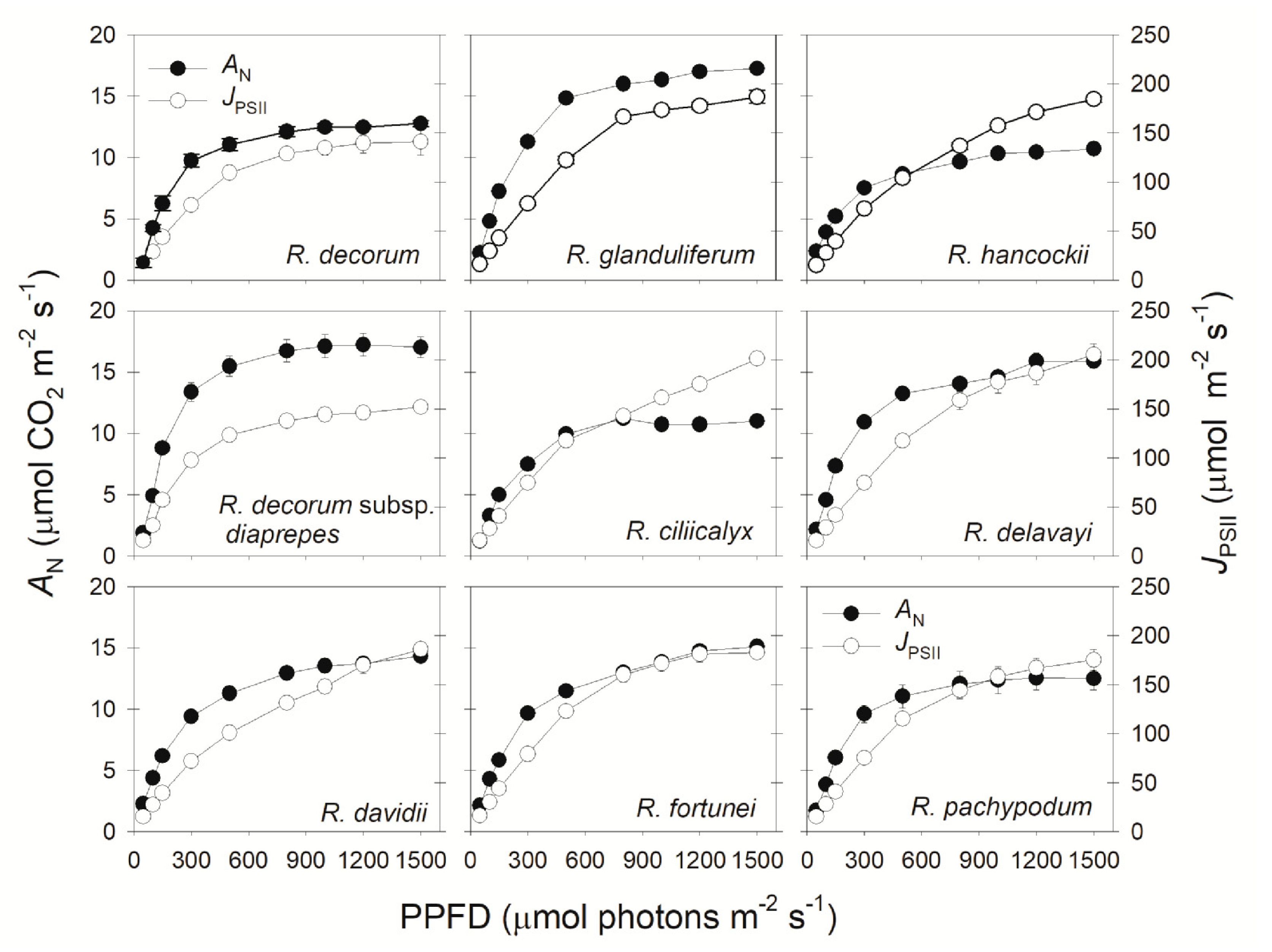 Plants 09 01536 g001