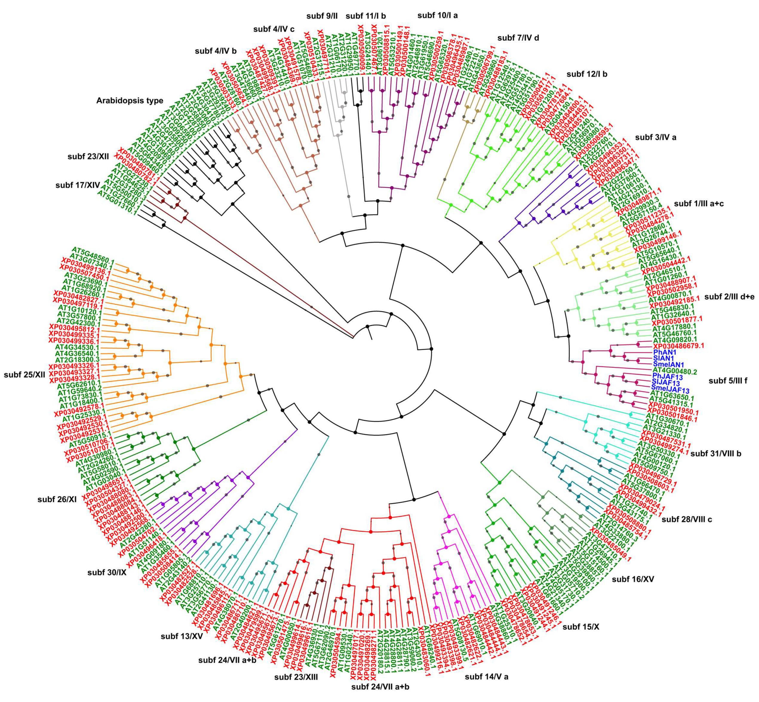 Plants 09 01540 g001 Plants 09 01540 g001