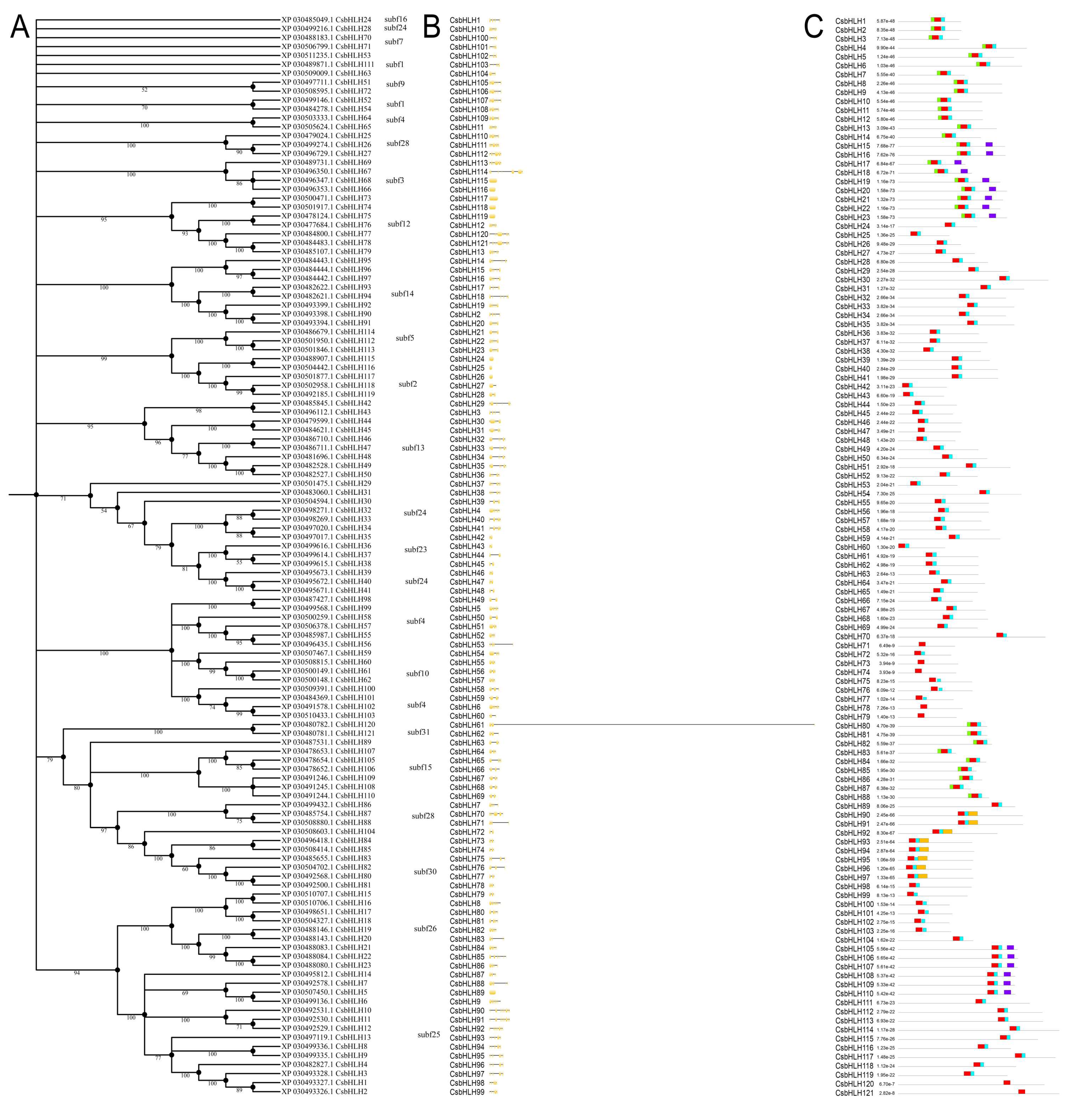 Plants 09 01540 g002 Plants 09 01540 g002