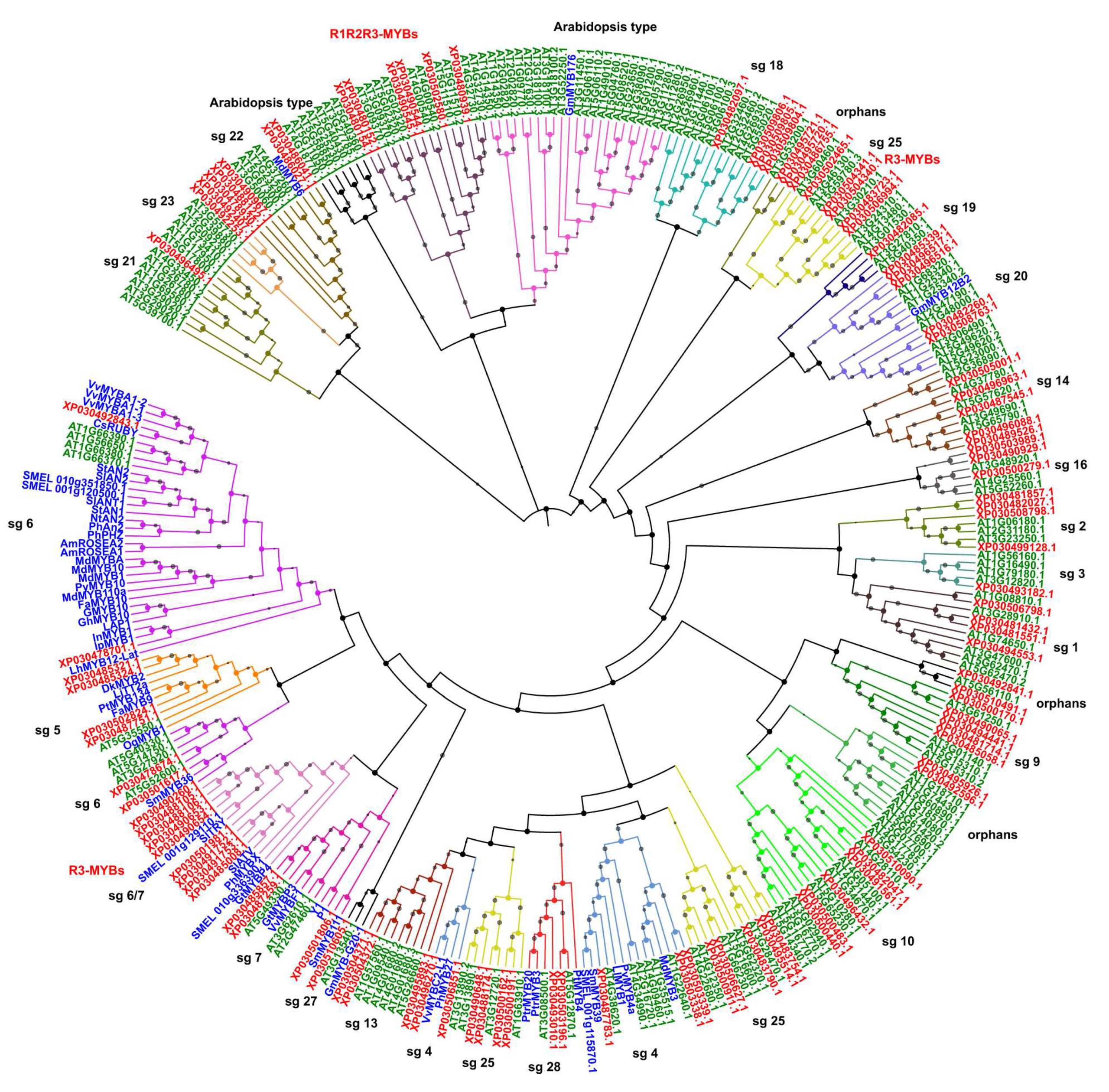 Plants 09 01540 g004 Plants 09 01540 g004