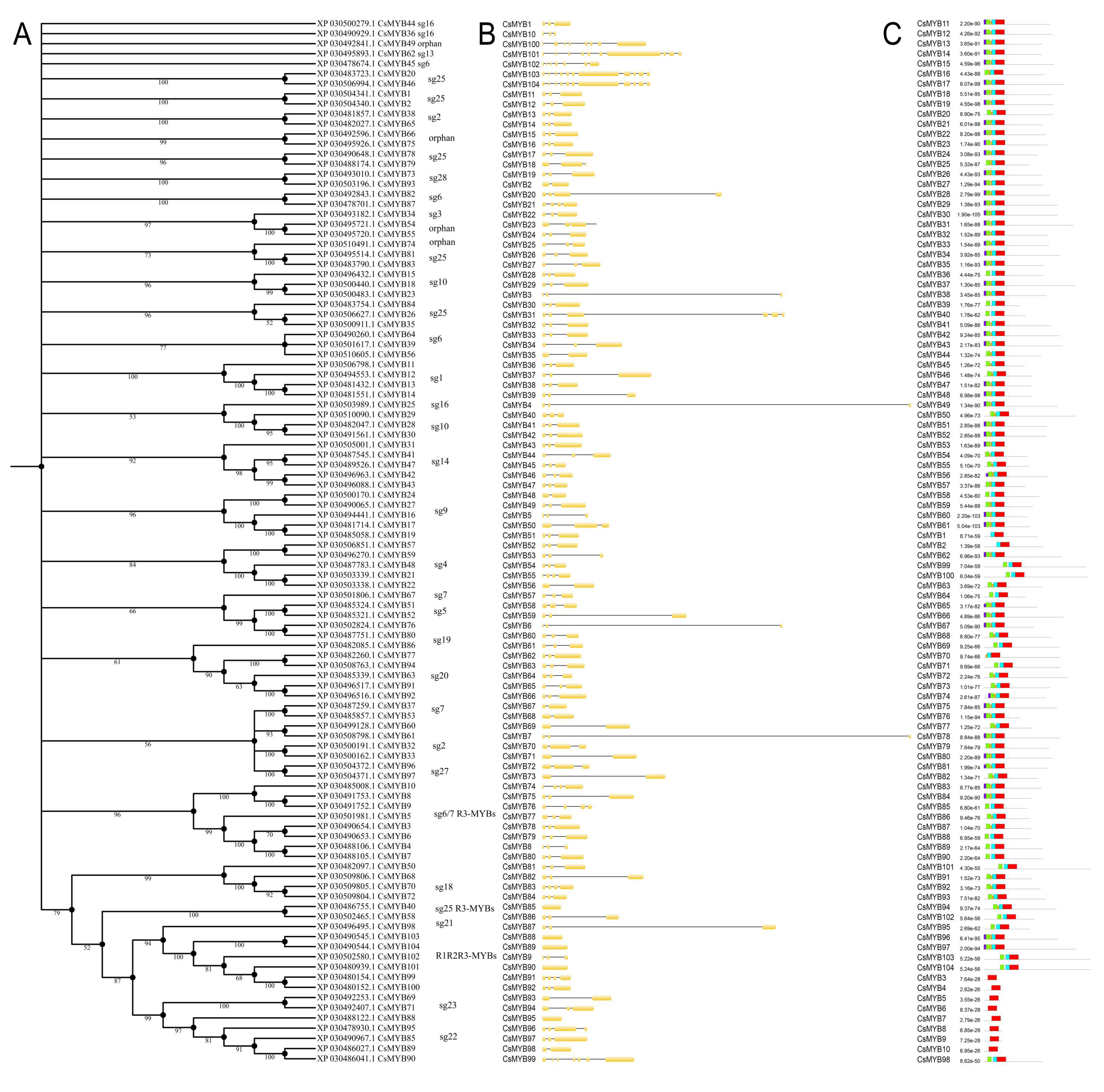 Plants 09 01540 g005 Plants 09 01540 g005