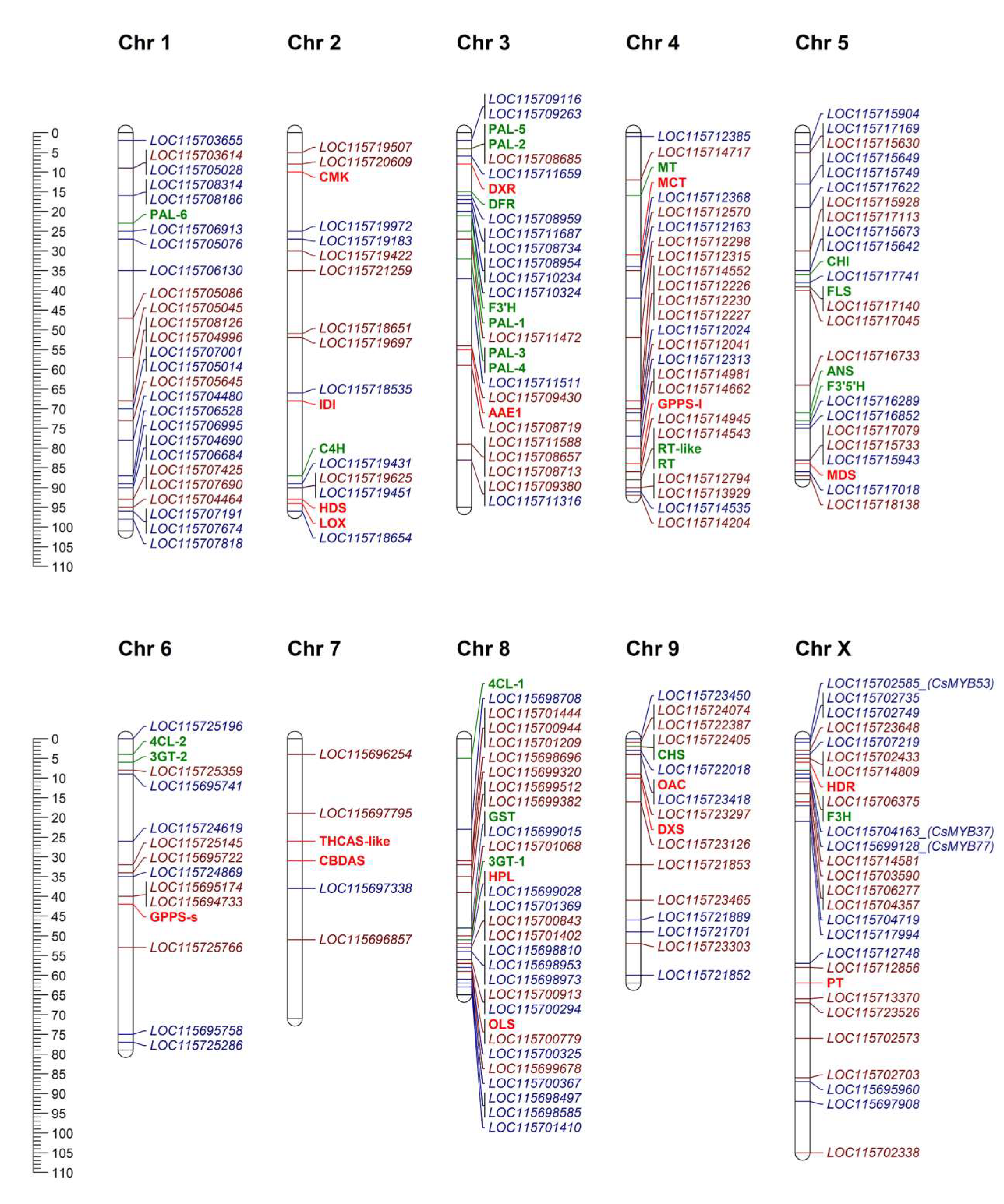 Plants 09 01540 g007 Plants 09 01540 g007
