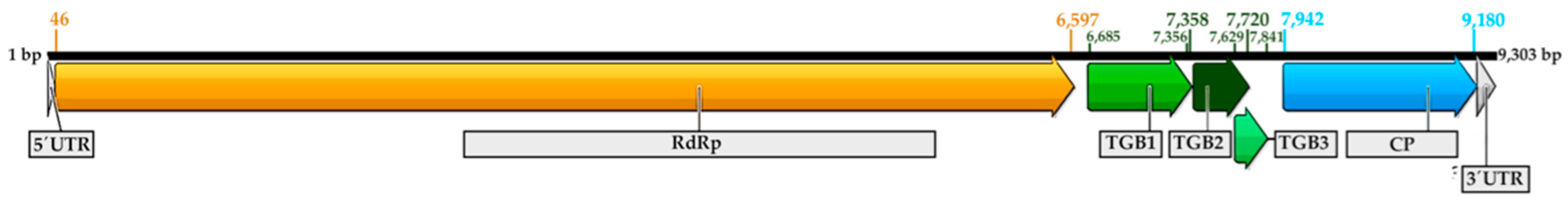 Plants 09 01560 g001