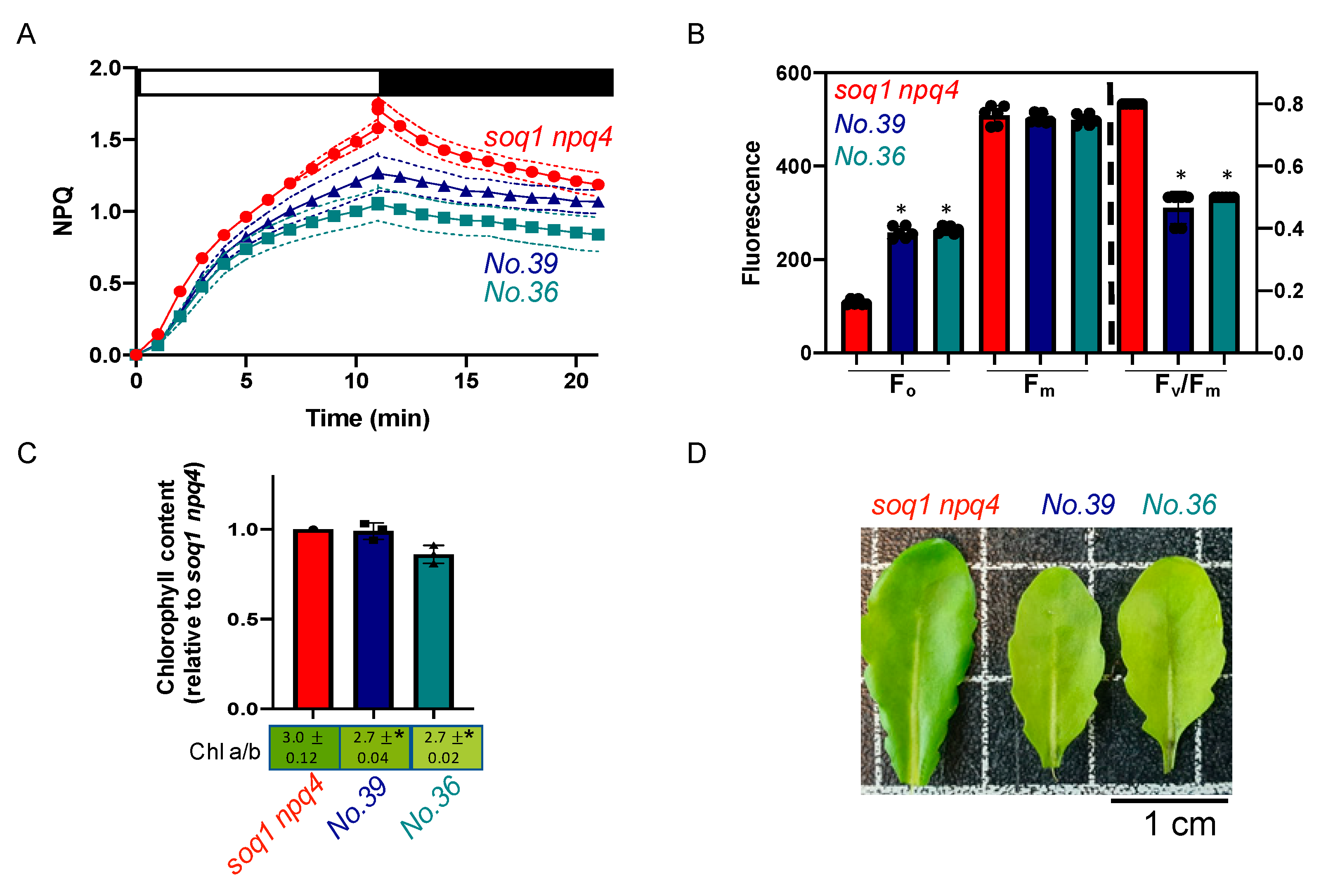 Plants 09 01565 g003