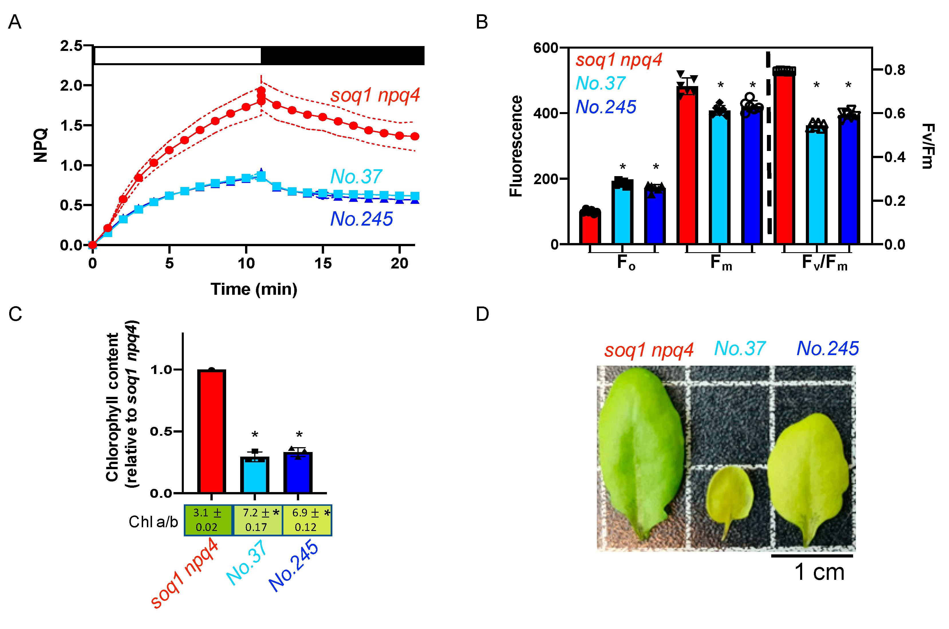 Plants 09 01565 g004