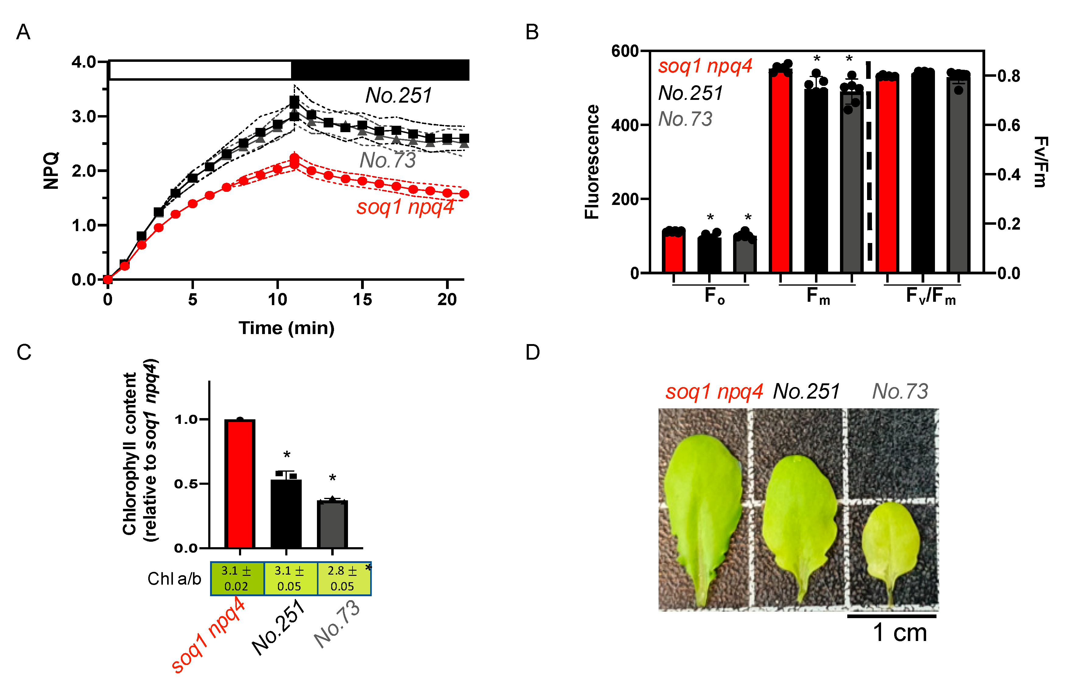Plants 09 01565 g005