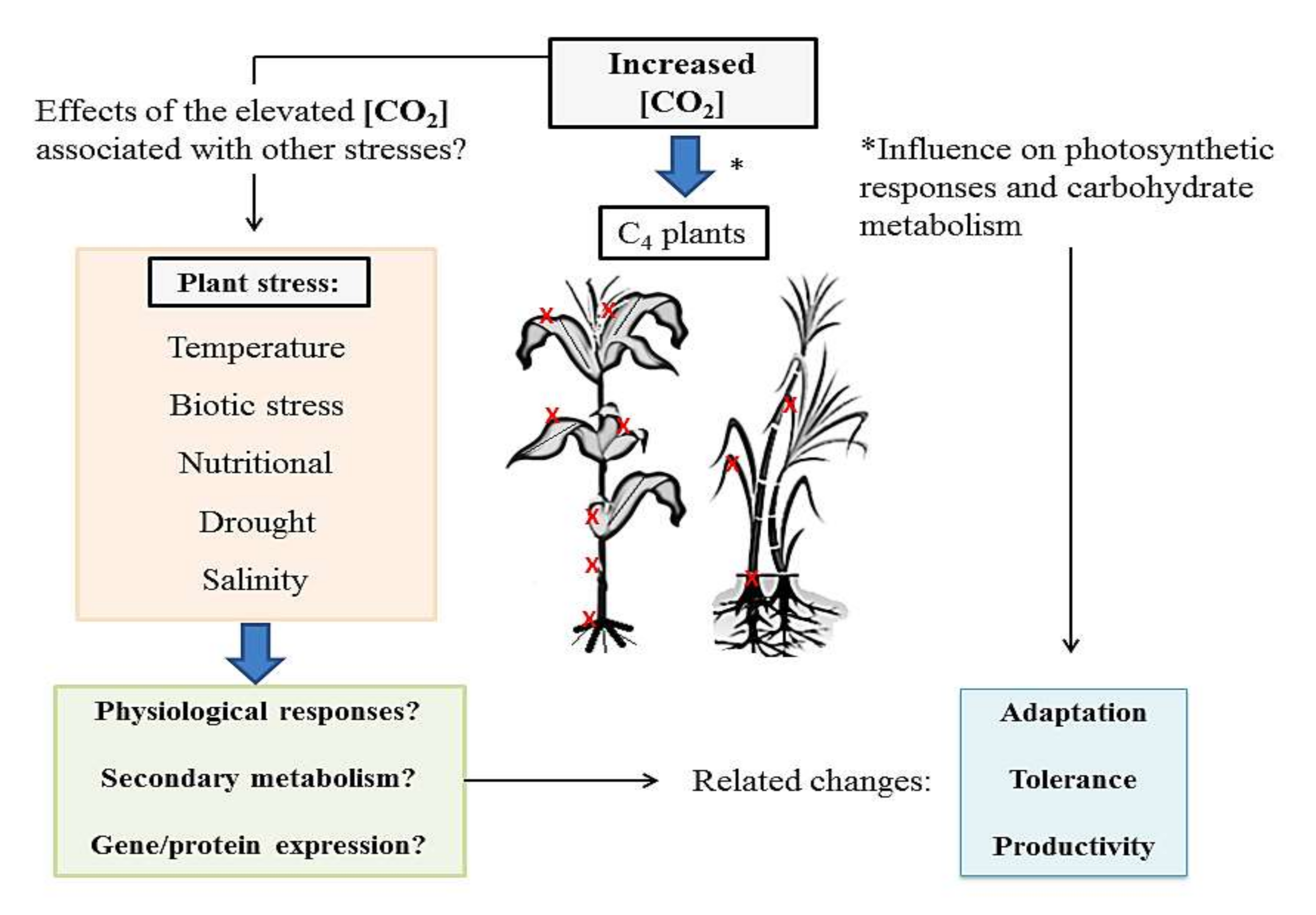 Plants 09 01567 g002