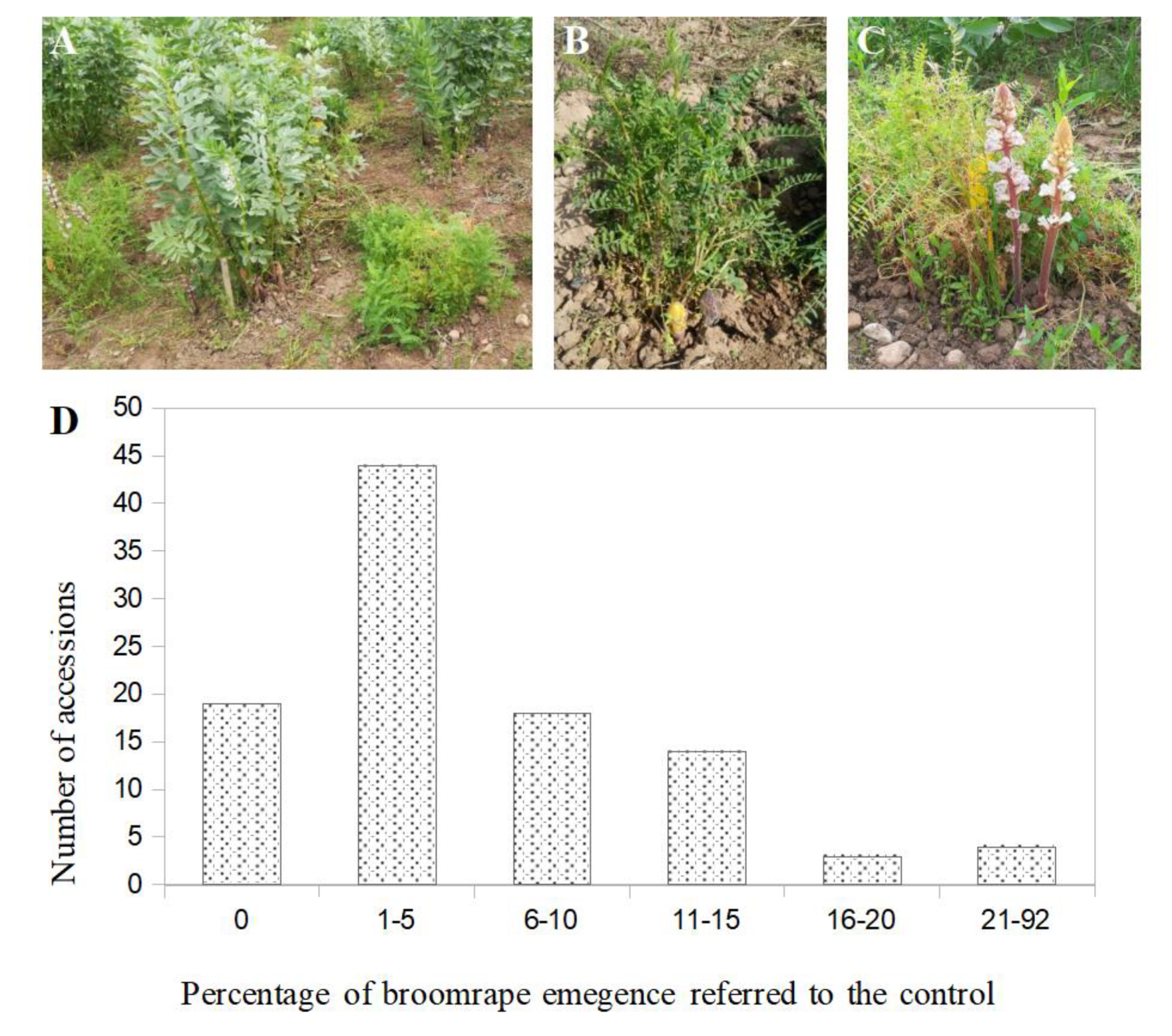Plants 09 01568 g002